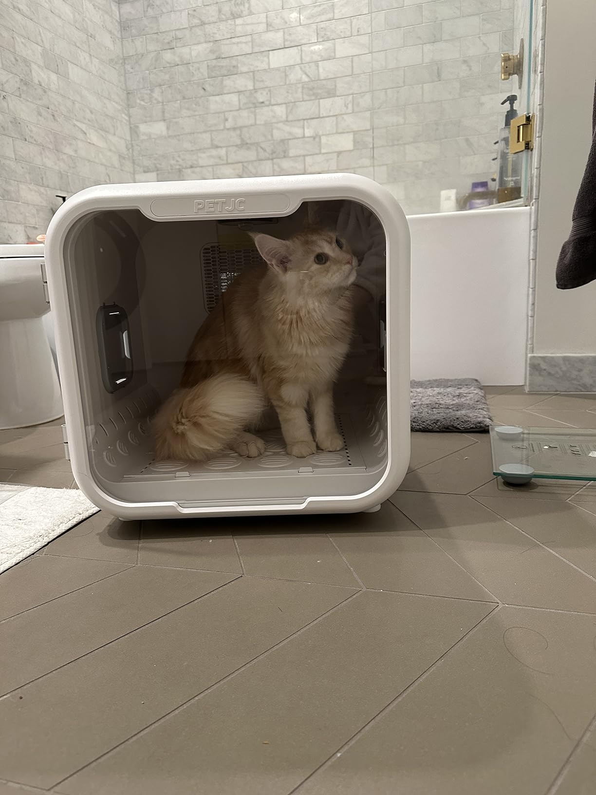Automatic Pet Dryer Box for Cats and Small Dogs, Ultra Quiet Dog Hair Dryer 71L Capacity with Smart Temperature Control and 360 Drying (White-Standard) customer photo 1