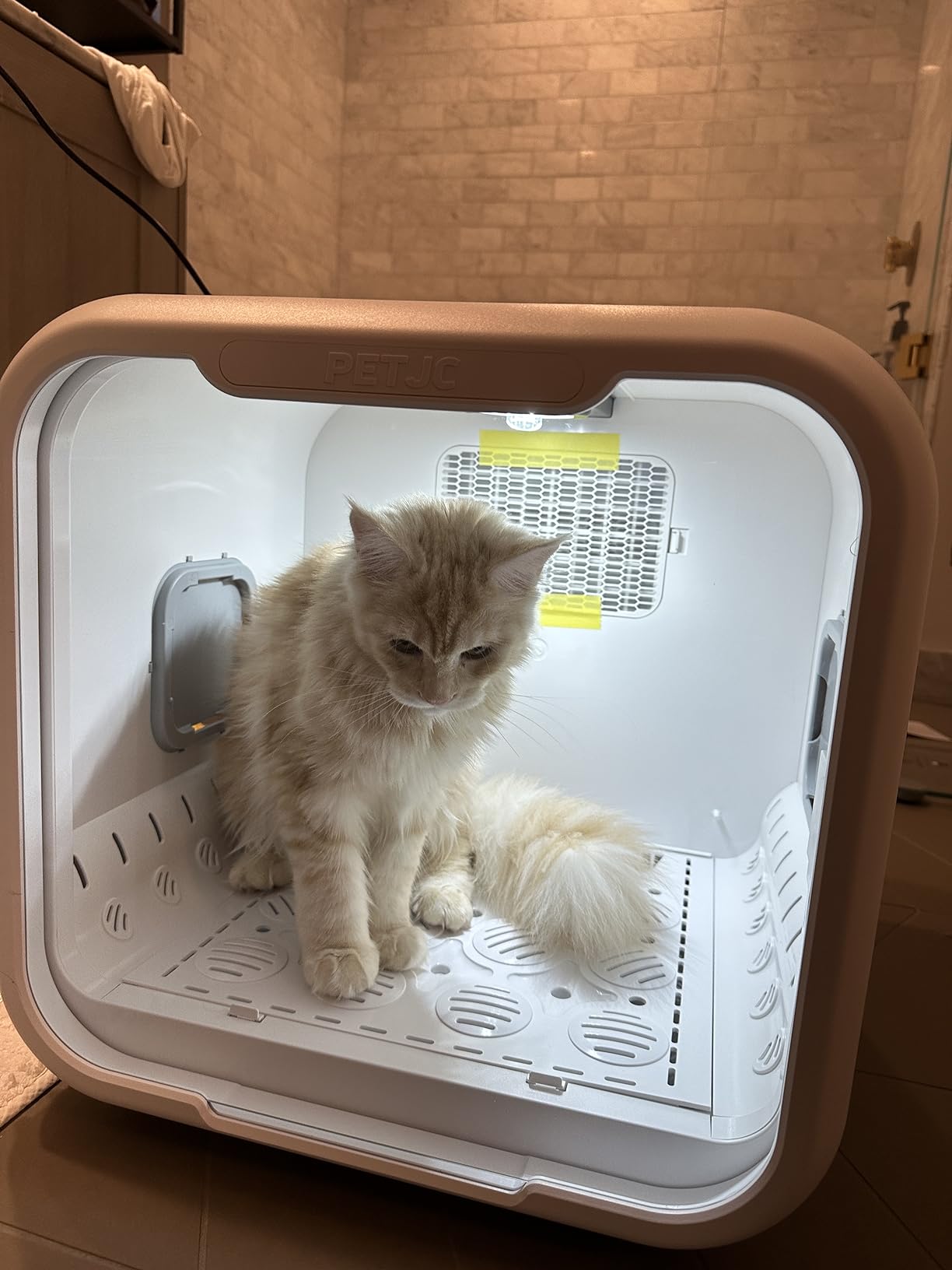 Automatic Pet Dryer Box for Cats and Small Dogs, Ultra Quiet Dog Hair Dryer 71L Capacity with Smart Temperature Control and 360 Drying (White-Standard) customer photo 2