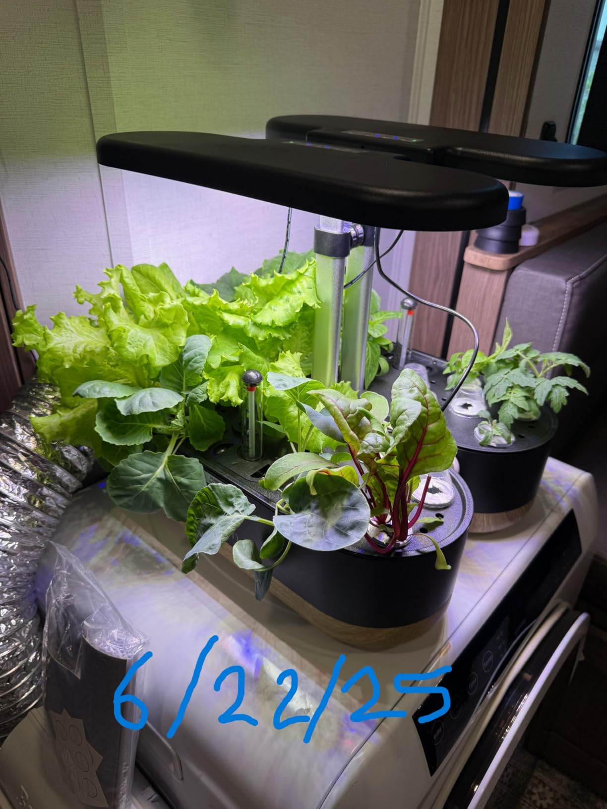 inbloom Hydroponics Growing System 12 Pods, Indoor Herb Garden with LEDs Full-Spectrum Plant Grow Light, Water Shortage Alarm, Automatic Timer, Height Adjustable, Gardening Gifts for Women, White customer photo 2