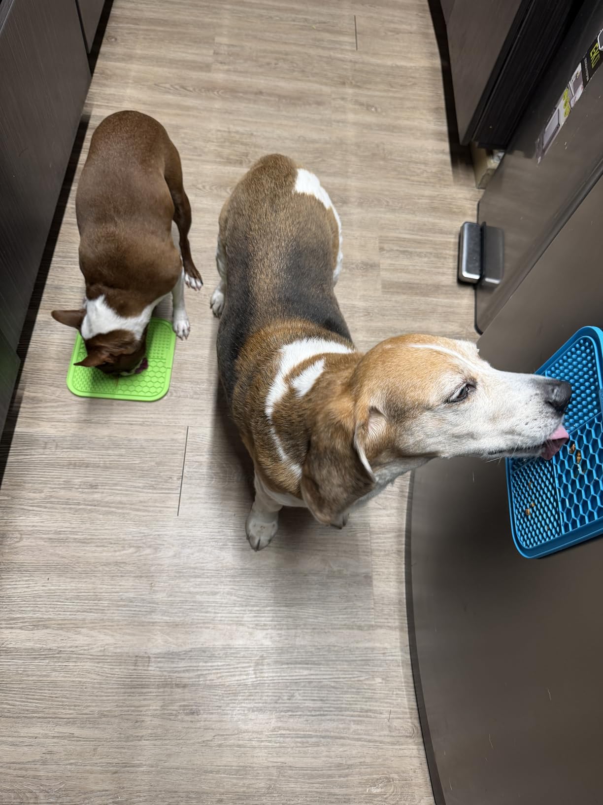 MateeyLife 2PCS Small Lick Mat for Dogs and Cats, Licking Mats for Dog Anxiety Relief, Cat Peanut Butter Lick Pad for Boredom Reducer, Dog Treat Mat Perfect for Bathing Grooming Blue&Green customer photo 1