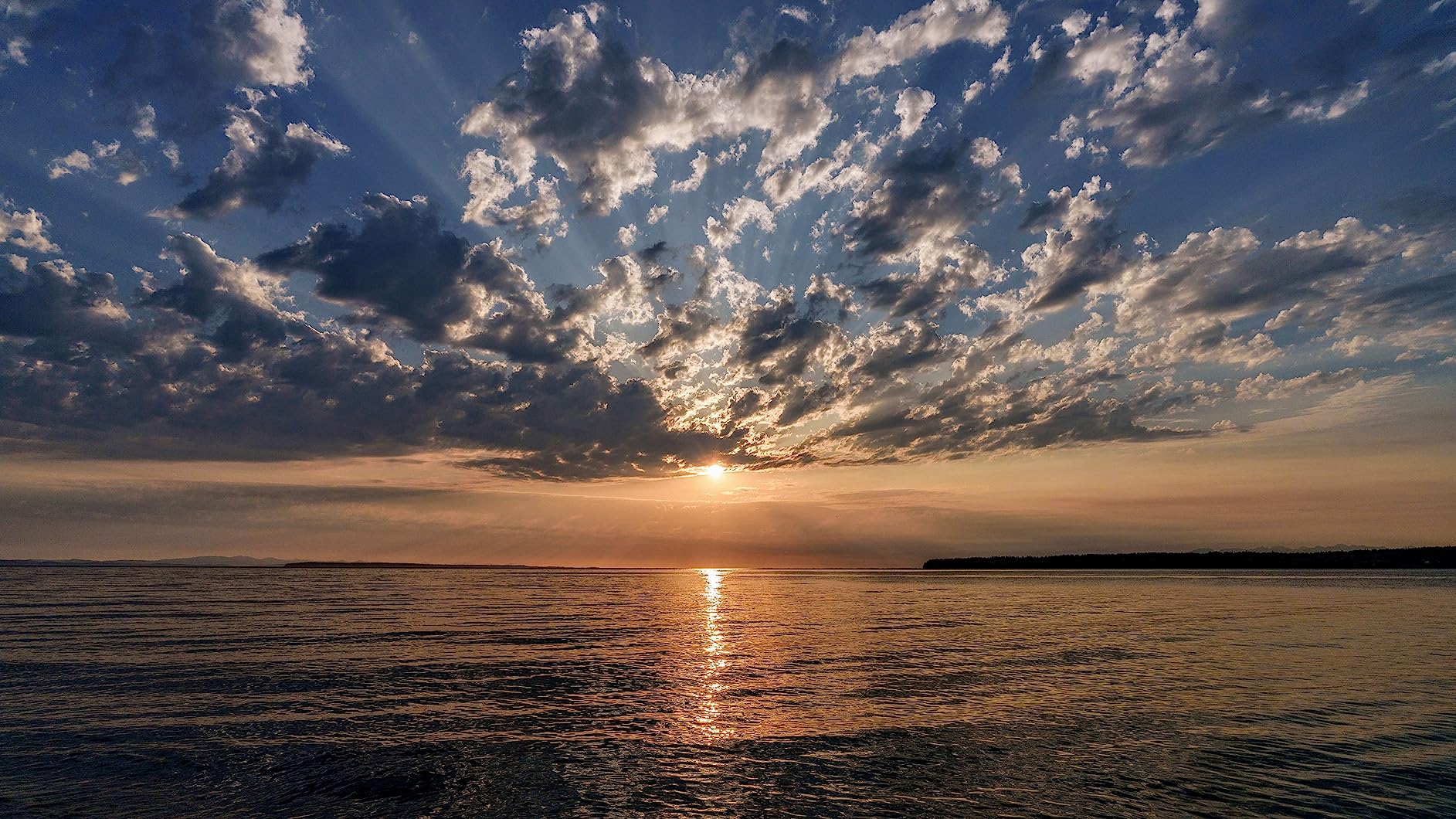 Sony FE 20-70mm f/4 G Lens (Sony E) customer photo 2