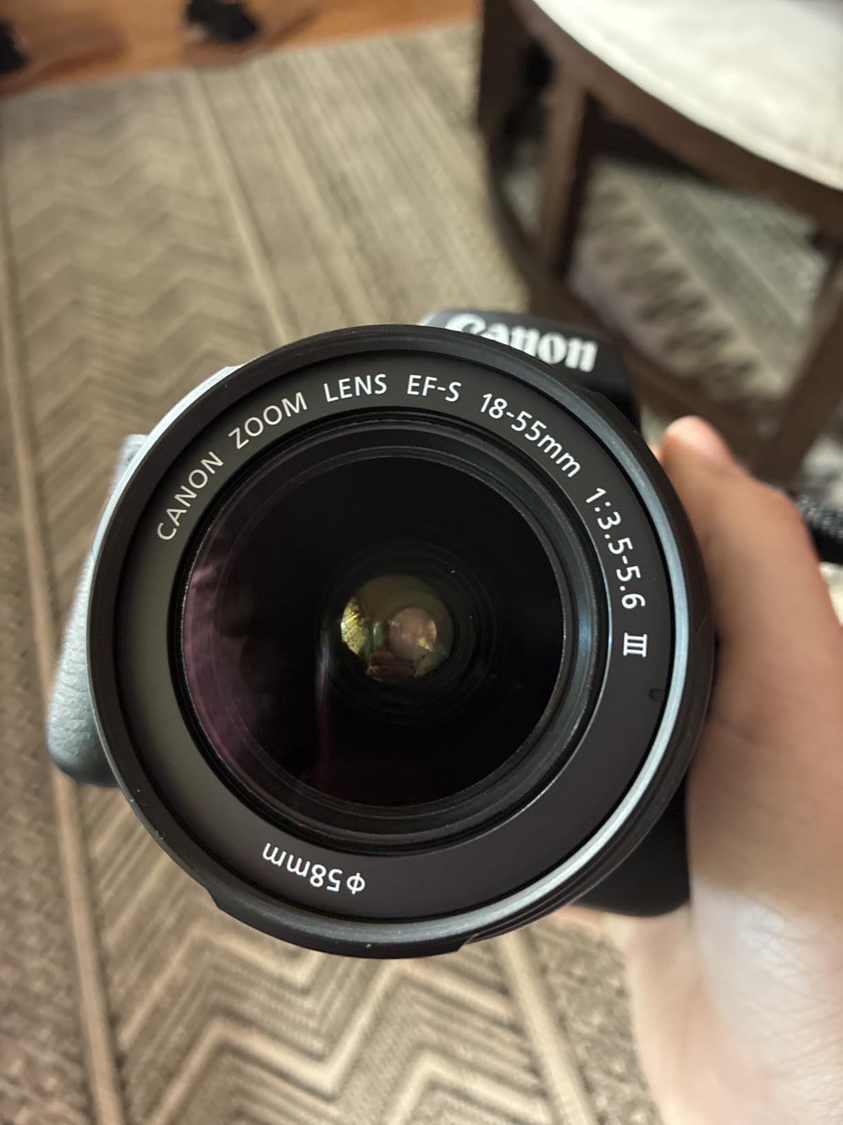 Canon EOS 2000D / Rebel T7 DSLR Camera w/EF-S 18-55mm f/3.5-5.6 Lens 3 Lens Kit: 128GB Memory + Wide Angle + Telephoto + Flash (Renewed) customer photo 2