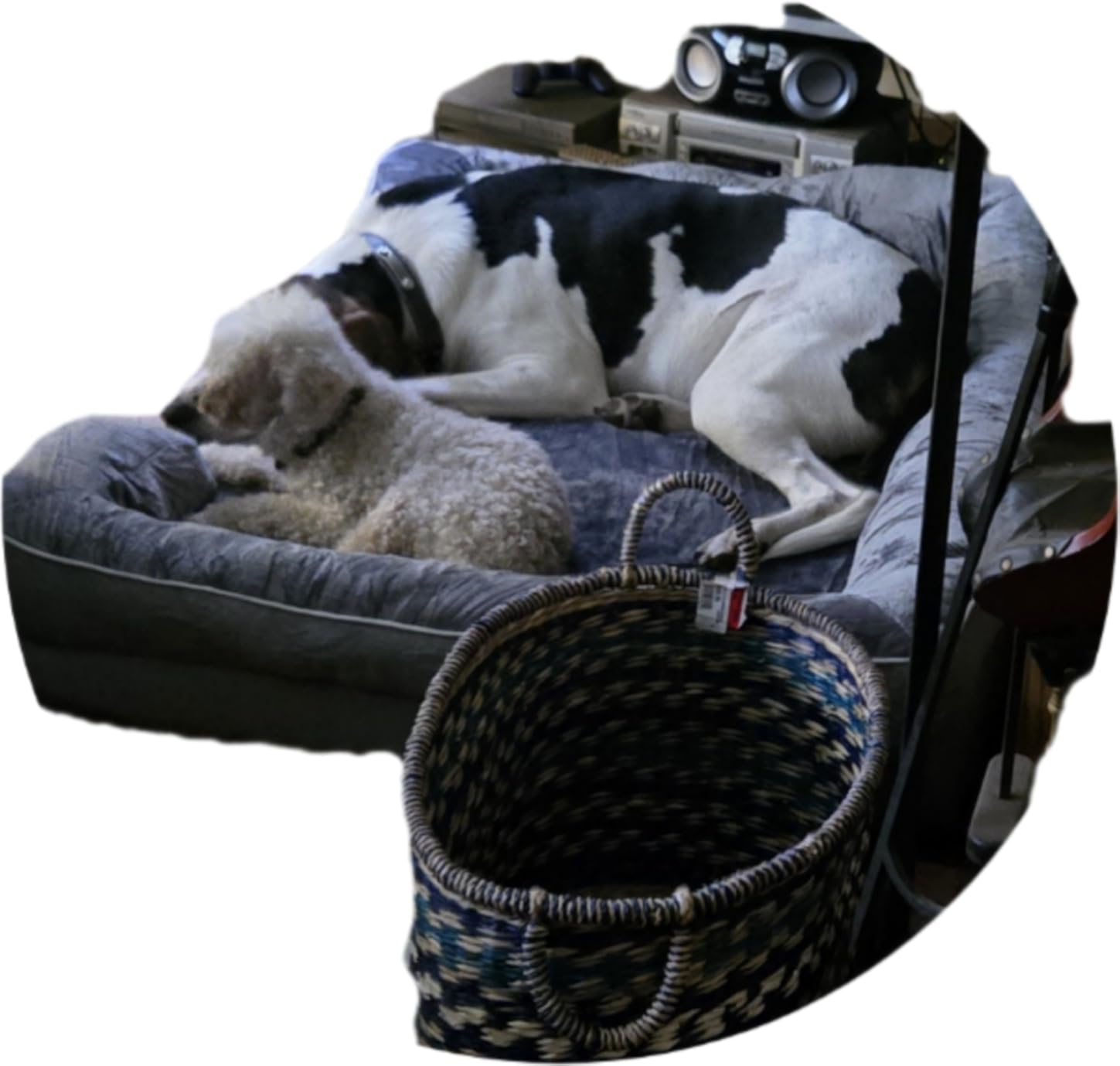 EHEYCIGA Orthopedic Dog Beds for Extra Large Dogs, Waterproof Memory Foam XL Dog Bed with Sides, Non-Slip Bottom and Egg-Crate Foam Big Pet Couch Bed with Washable Removable Cover, Camel customer photo 1