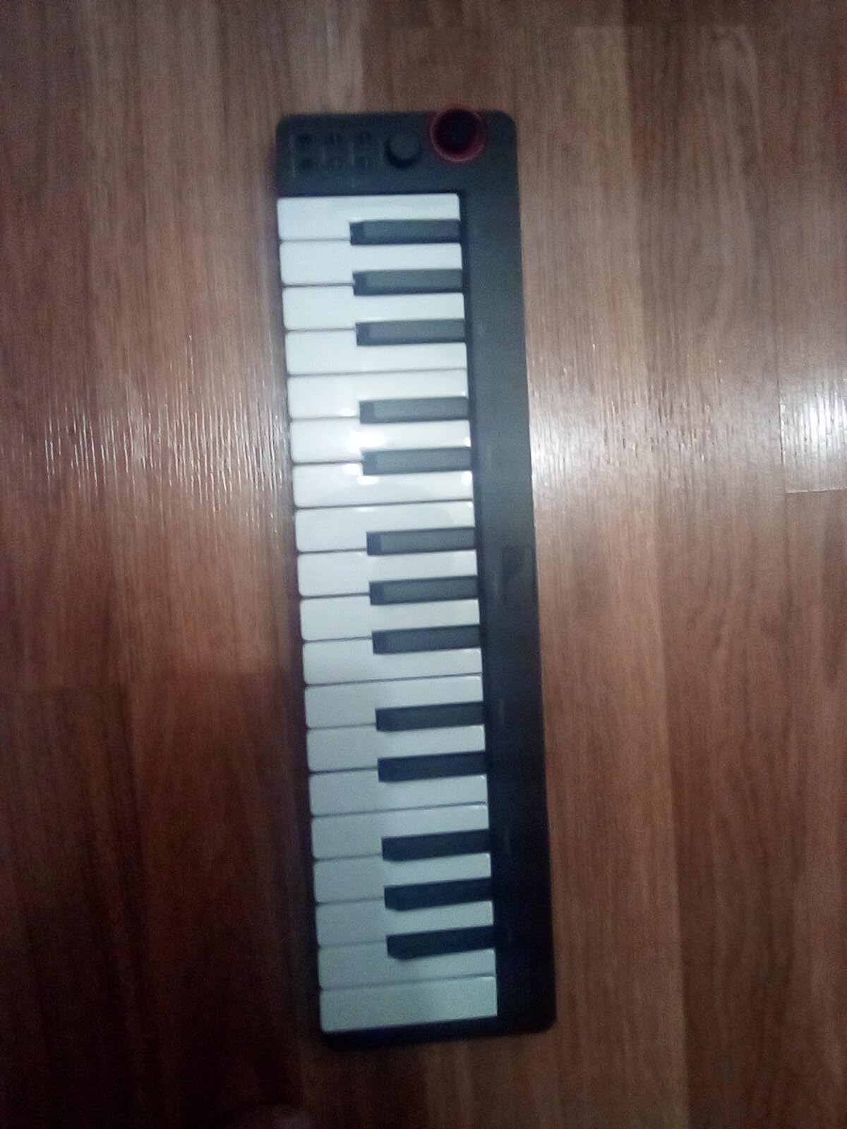 Donner Mini MIDI Keyboard, N-25 25 Key MIDI Controller for Beginner with Velocity-Sensitive Mini Keys&Light-up Rocker&Music Production Software, Small Controlador MIDI with 40 Teaching Courses customer photo 2
