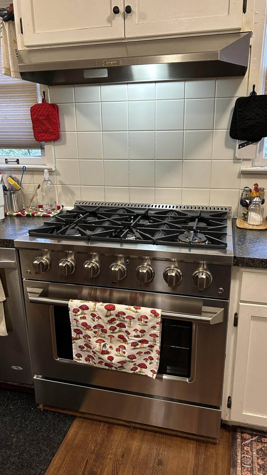 Gas Range Cooktop, 48-Inch with Double Porcelain Convection Oven and Broil Function, 8 Sealed Burners Continuous Grates with Stainless Steel Construction, 6.7-Cu.Ft, Metallic customer photo 1
