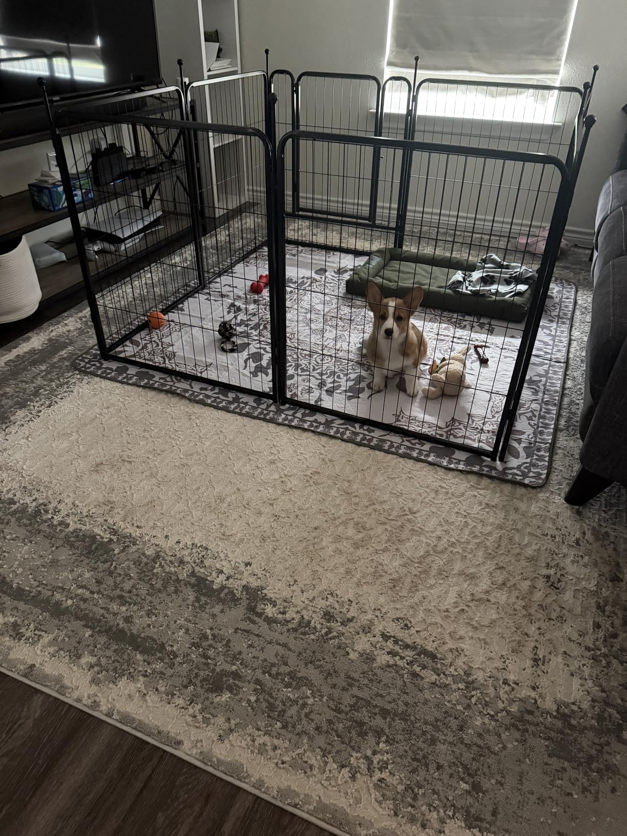 FXW Rollick Unleashed Dog Playpen for Indoor, Yard, RV Camping, 24 inch 8 Panels for Small and Puppy Dogs, Black|Patented customer photo 1