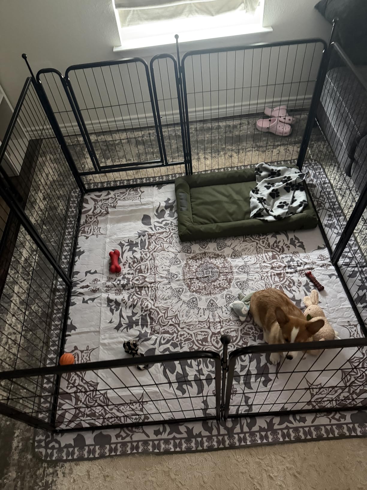 FXW Rollick Unleashed Dog Playpen for Indoor, Yard, RV Camping, 24 inch 8 Panels for Small and Puppy Dogs, Black|Patented customer photo 2