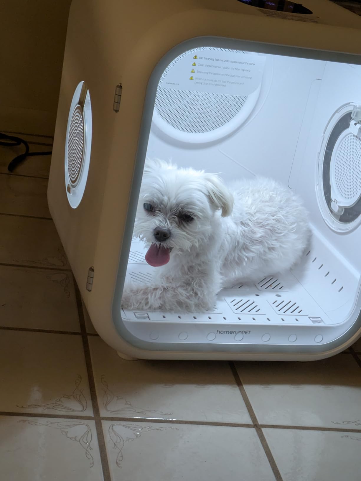 HomeRunPet Dog Dryer, Ultra Quiet High Velocity Blow Dryer for Dogs with 99 Speed & 3 Temperature Settings, 6.5ft Long Hose & LED Display, Perfect for Dogs, Pets Grooming customer photo 2