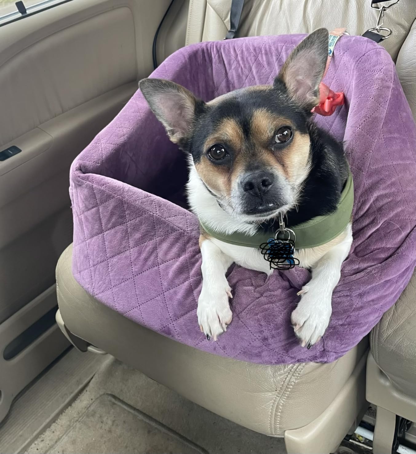 NEEZUKAR Dog Car Seat for Small Medium Dogs, Detachable Washable Dog Booster Seat Under 30lbs, Pet Car Seat Travel Bed with Storage Pockets and Dog Safety Belt (Black) customer photo 2