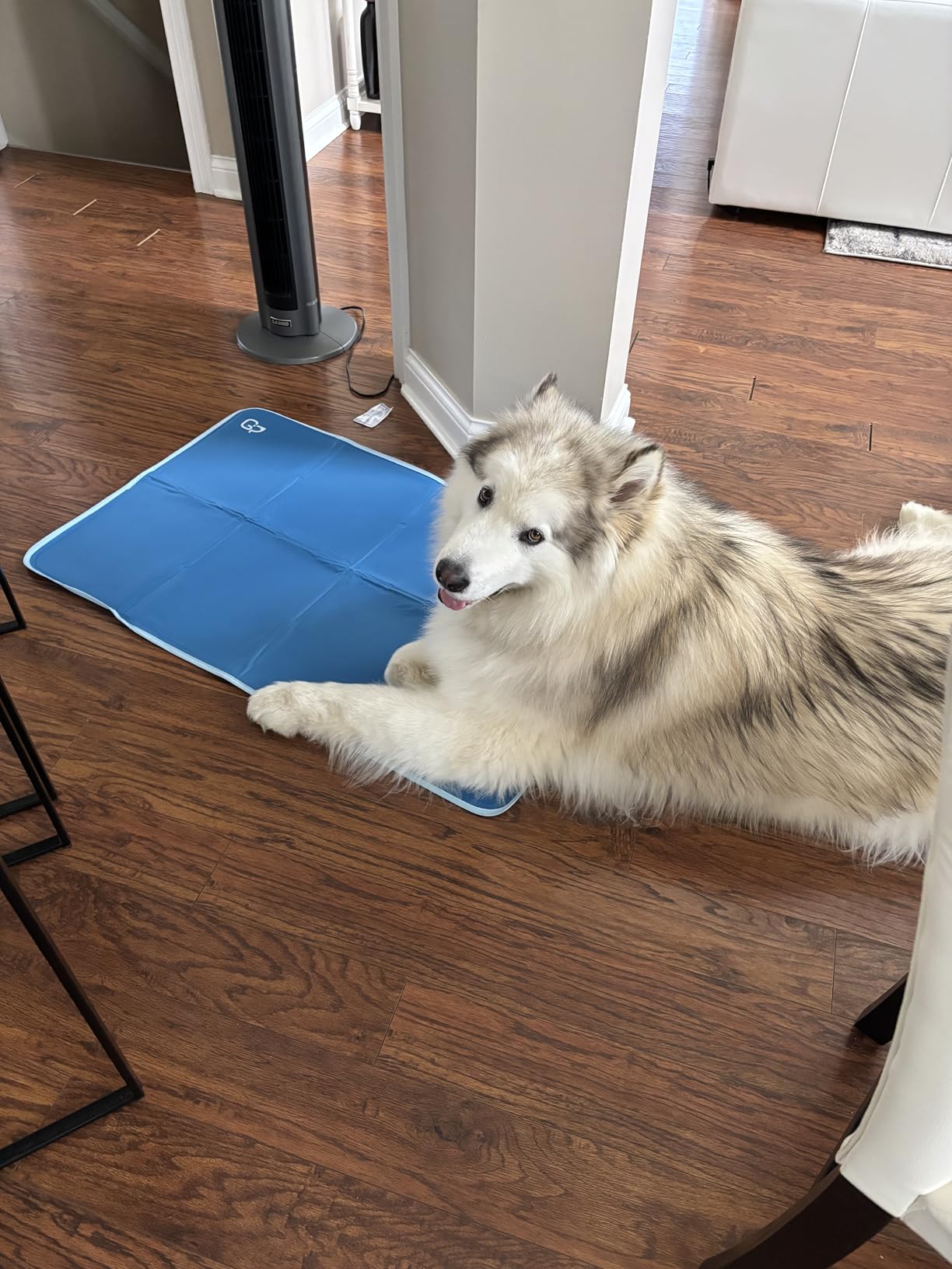 The Green Pet Shop Cool Pet Pad - Large, Sage Grey - Self-Cooling, Pressure Activated Mat for Dogs & Cats from 46-80 lbs - Non-Toxic Gel, No Water Needed customer photo 2