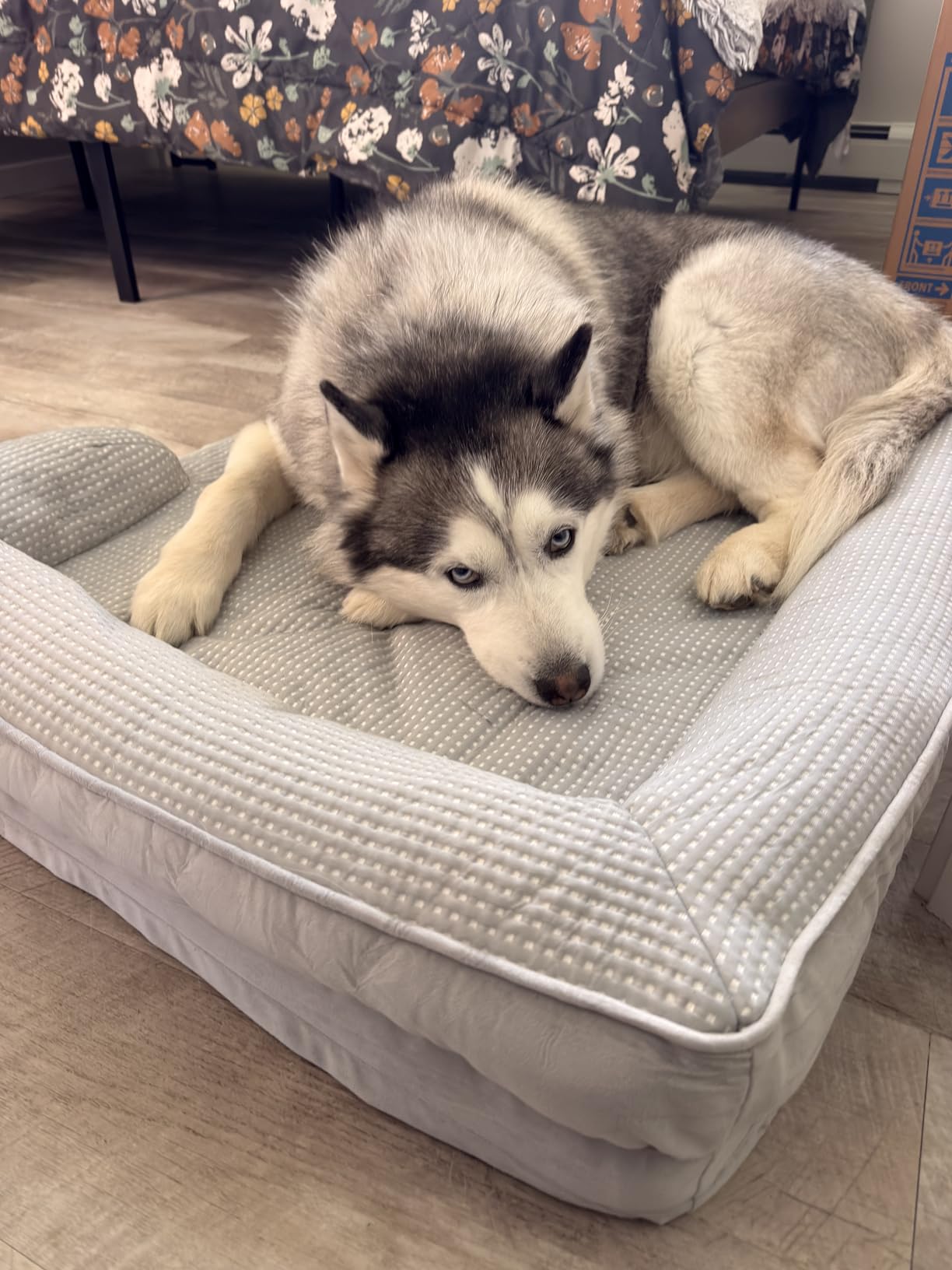 Bedsure XL Orthopedic Dog Bed for Extra Large Dogs - Washable XLarge Dog Cat Bed Waterproof, Comfort Dogs Couch Sofa with Washable Removable Cover, Pet Bed with Nonskid Bottom, Grey, 42