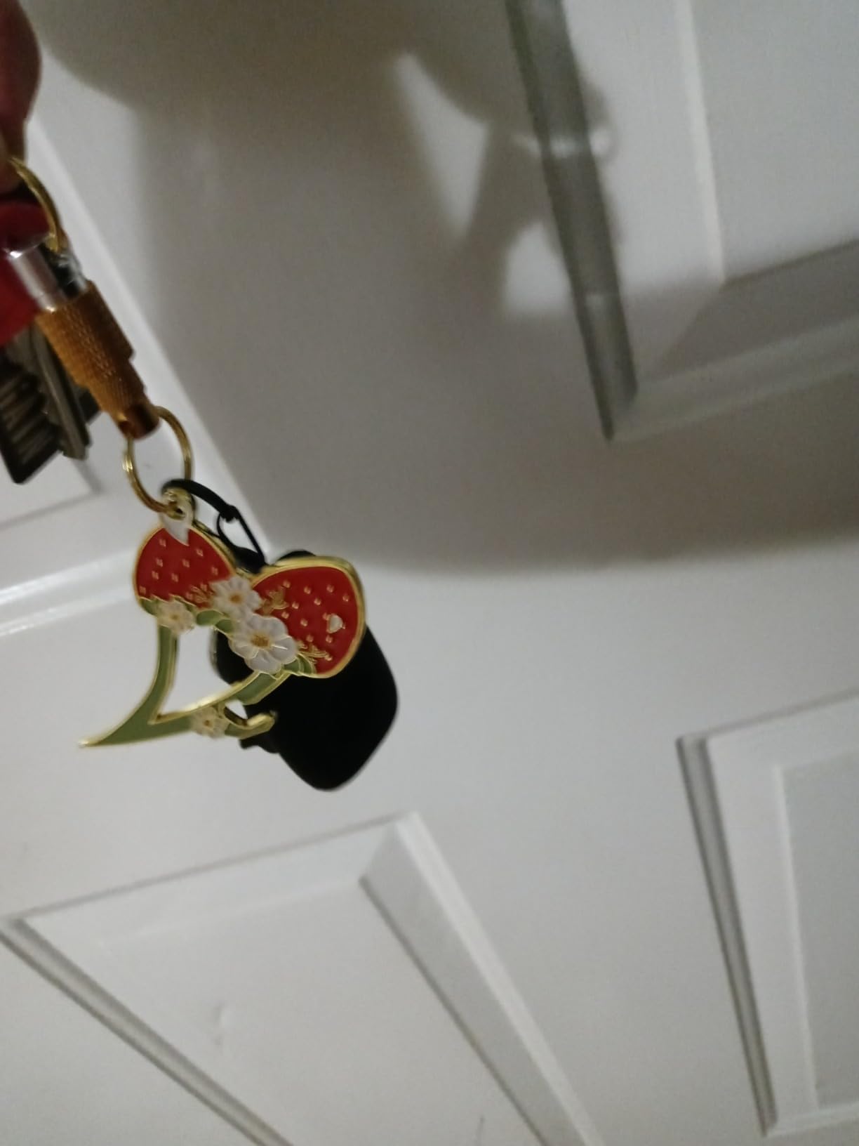 MALTERZER Keychain Safety for Women Self Defense Strawberry Key Chain Accessories Set customer photo 1