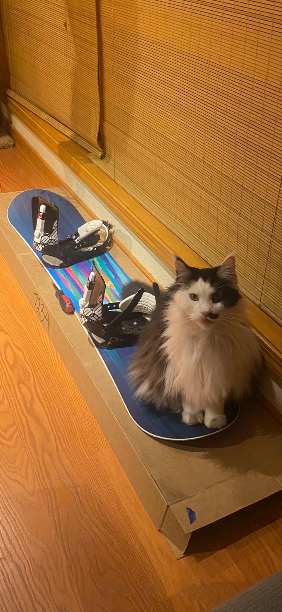 Nitro Lectra Women's All-Mountain Snowboard - Women's Performance Board customer photo 1