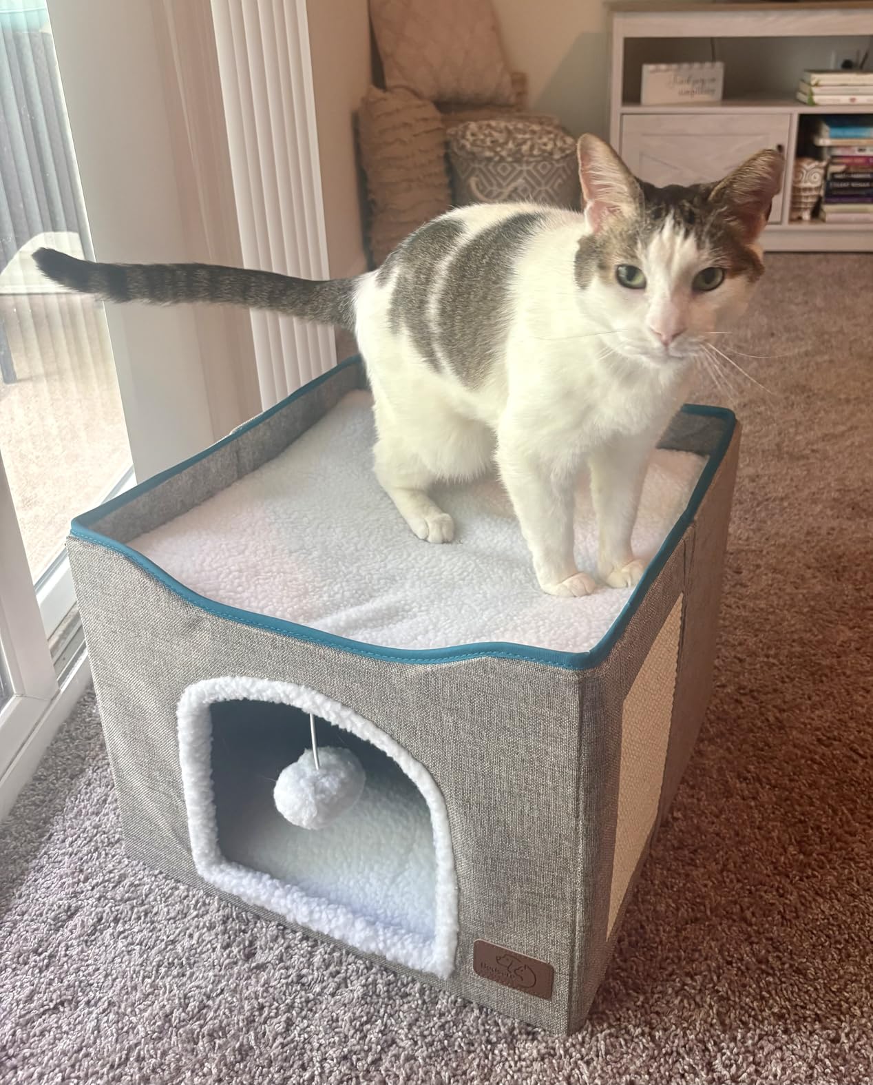 Bedsure 2 Story Cat House - Cat Condos for Indoor Cats with Scratch Pad and Fluffy Ball Hanging, Small Pet Cave Furniture Hideaway for Multi Pets, 18x14x23 inches, Grey customer photo 2