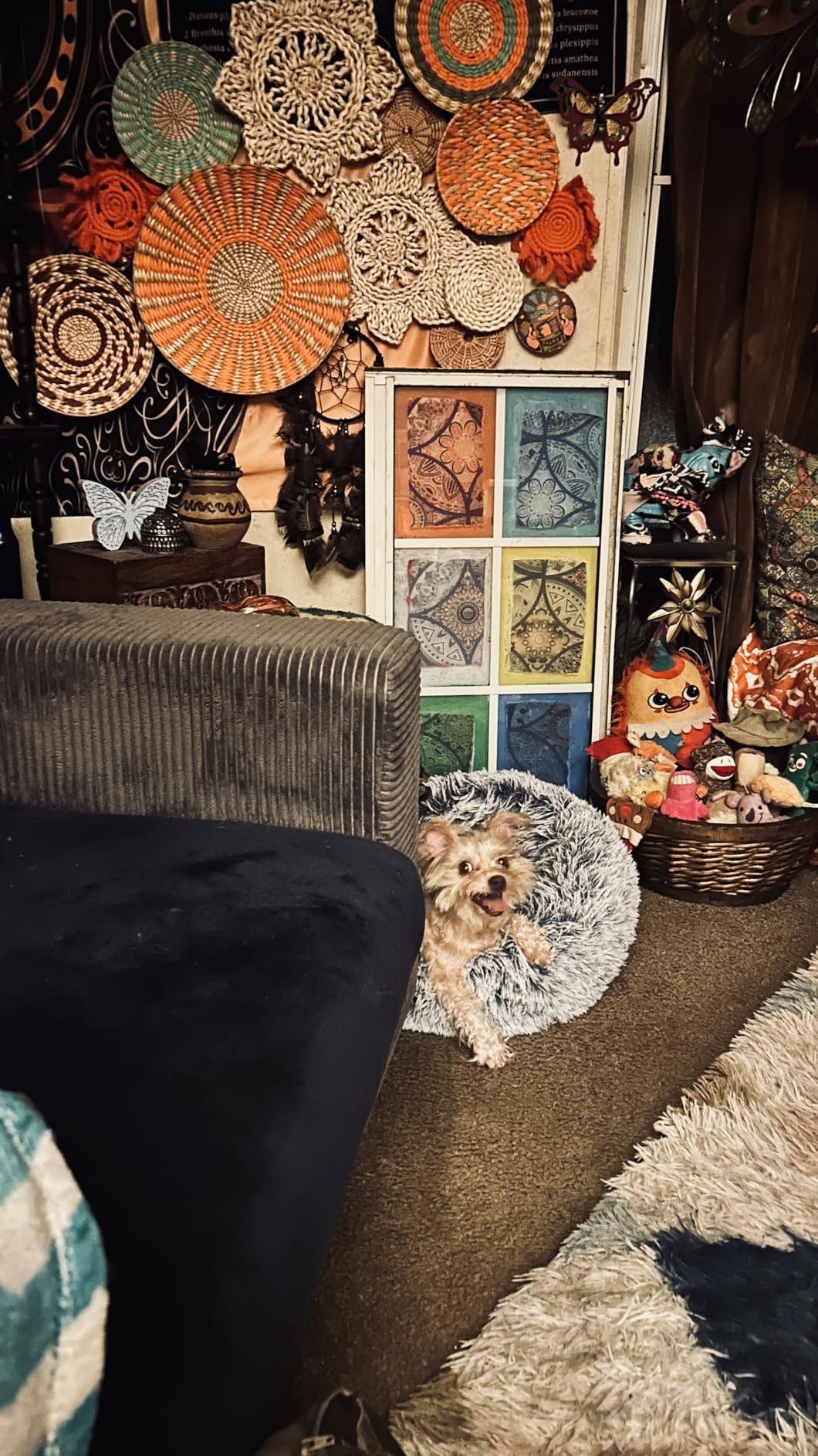 JOLLYVOGUE Small Dog Bed, Calming Soft Anti-Anxiety Donut Cat Bed, Washable Round Fluffy Cushion for Small and Medium Pets (20