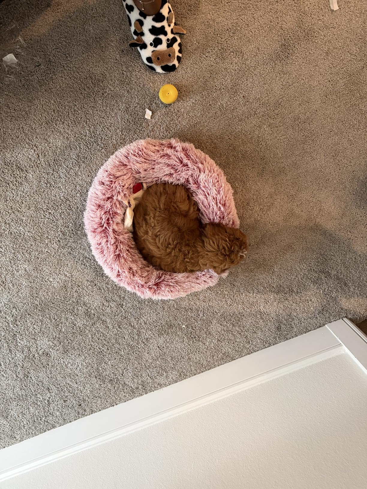 JOLLYVOGUE Small Dog Bed, Calming Soft Anti-Anxiety Donut Cat Bed, Washable Round Fluffy Cushion for Small and Medium Pets (20