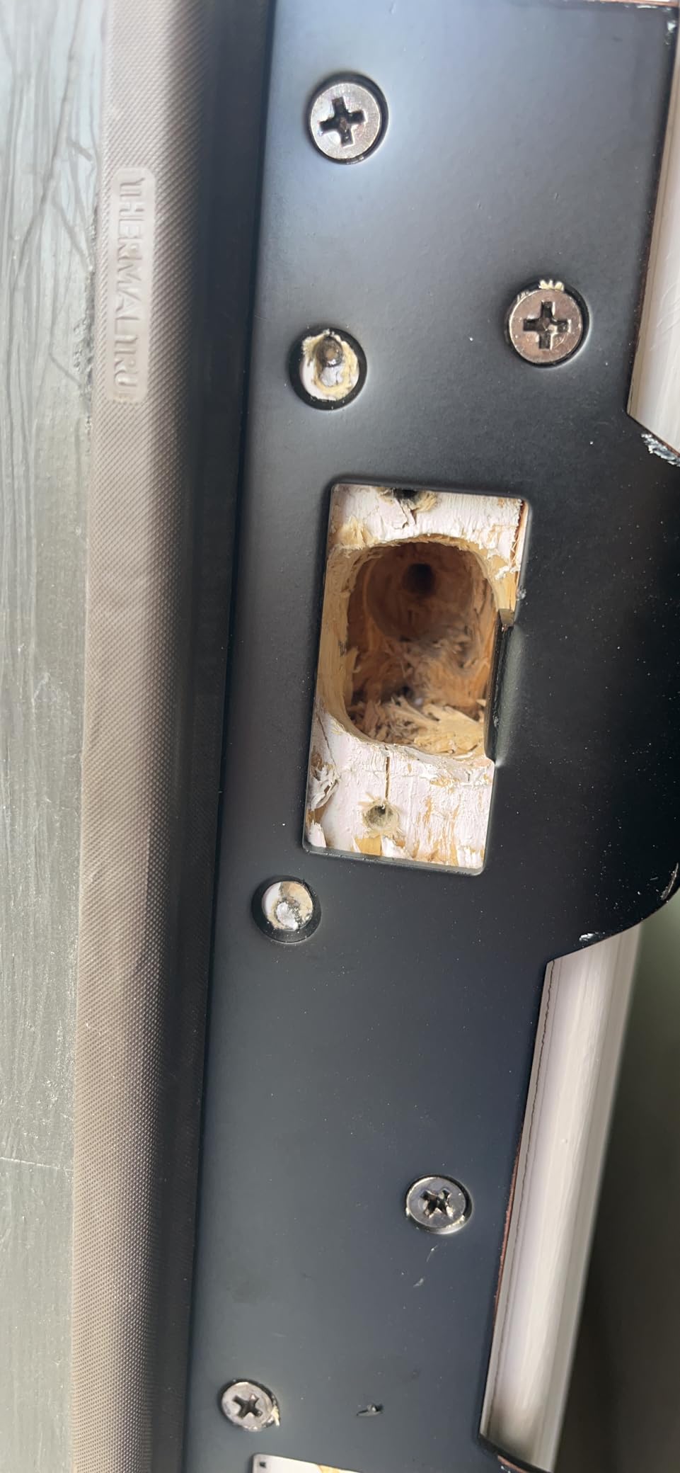 Door Strike Plate Double Holes, with Reinforced Torx/Star Screws & Bit, Heavy-Duty Latch Reinforcement Plate Security Striker for Exterior Interior Door (1, Satin Nickel) customer photo 2