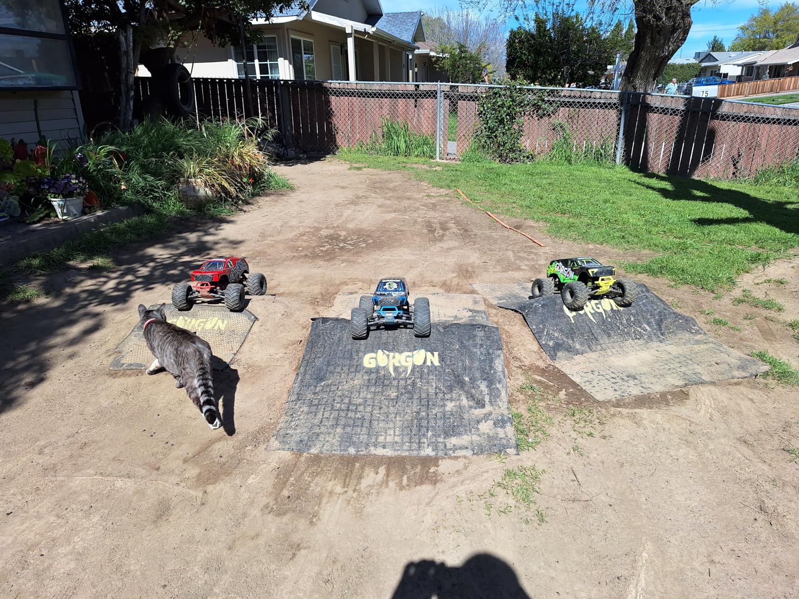 ARRMA RC Monster Truck 1/10 Gorgon 4X2 MEGA 550 Brushed Monster Truck RTR (Battery and Charger Not Included), ARA3230T1 customer photo 2