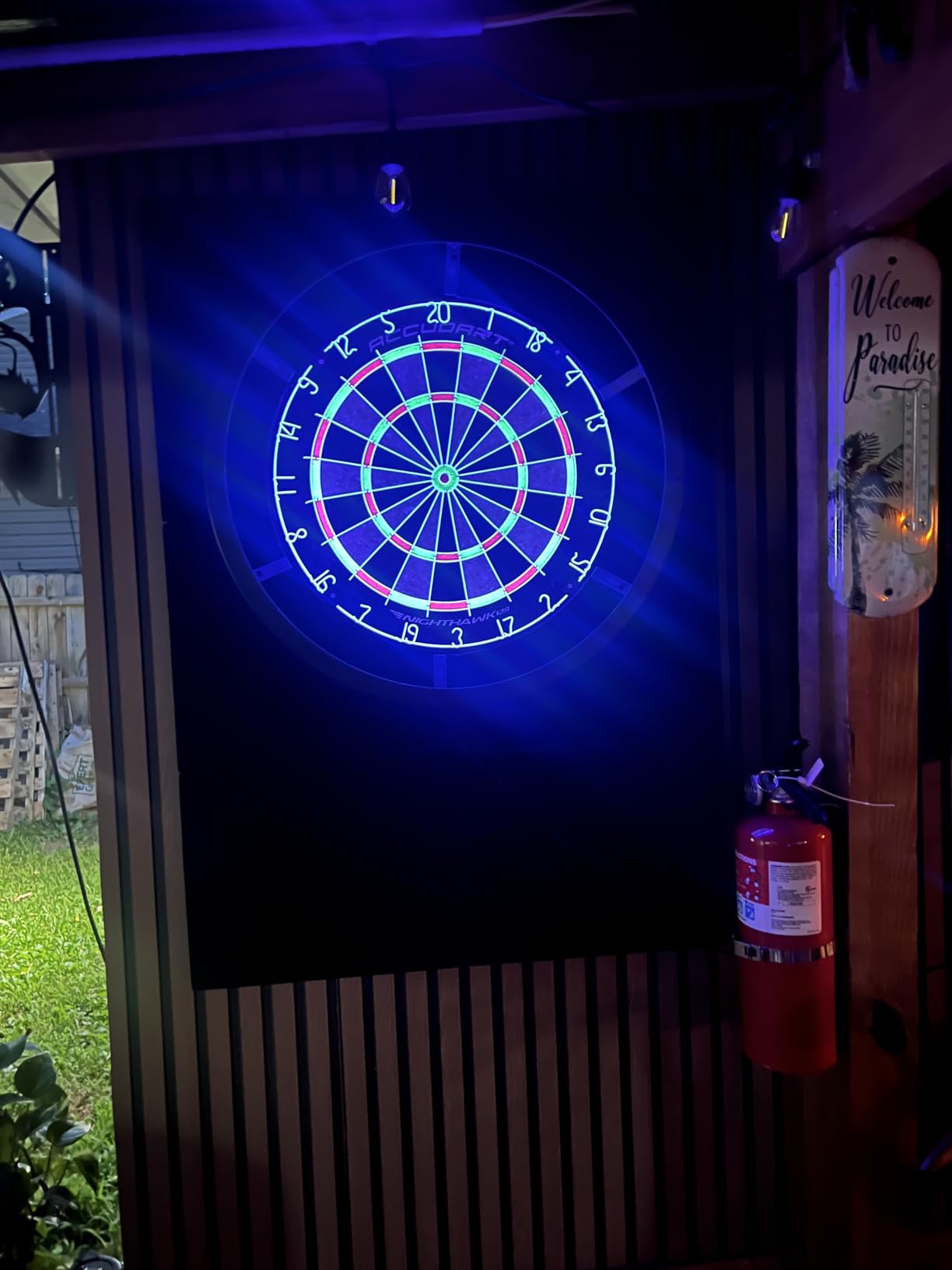 Accudart Nighthawk 2‑in‑1 LED & Blacklight Bristle Dartboard Surround Set - Official 18