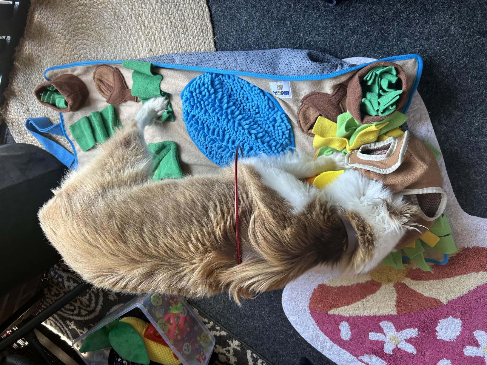 Snuffle Mat for Dogs Large Breed 39.4''x23.6''- Interactive Dog Toys for Boredom - Sniff mat - Mental Stimulation - Enrichment Toys customer photo 1