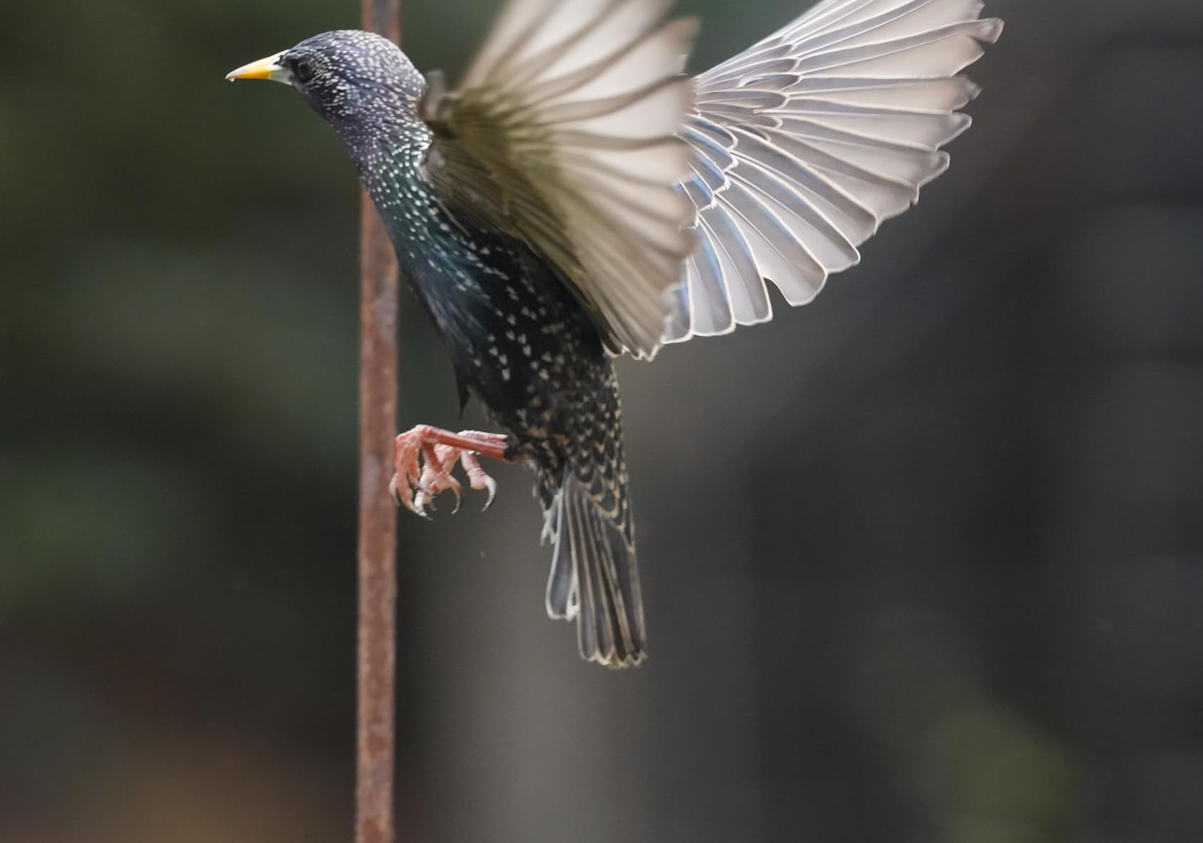 70-180mm F/2.8 Di III VC VXD G2 for Sony E-Mount Full Frame Mirrorless Cameras customer photo 1