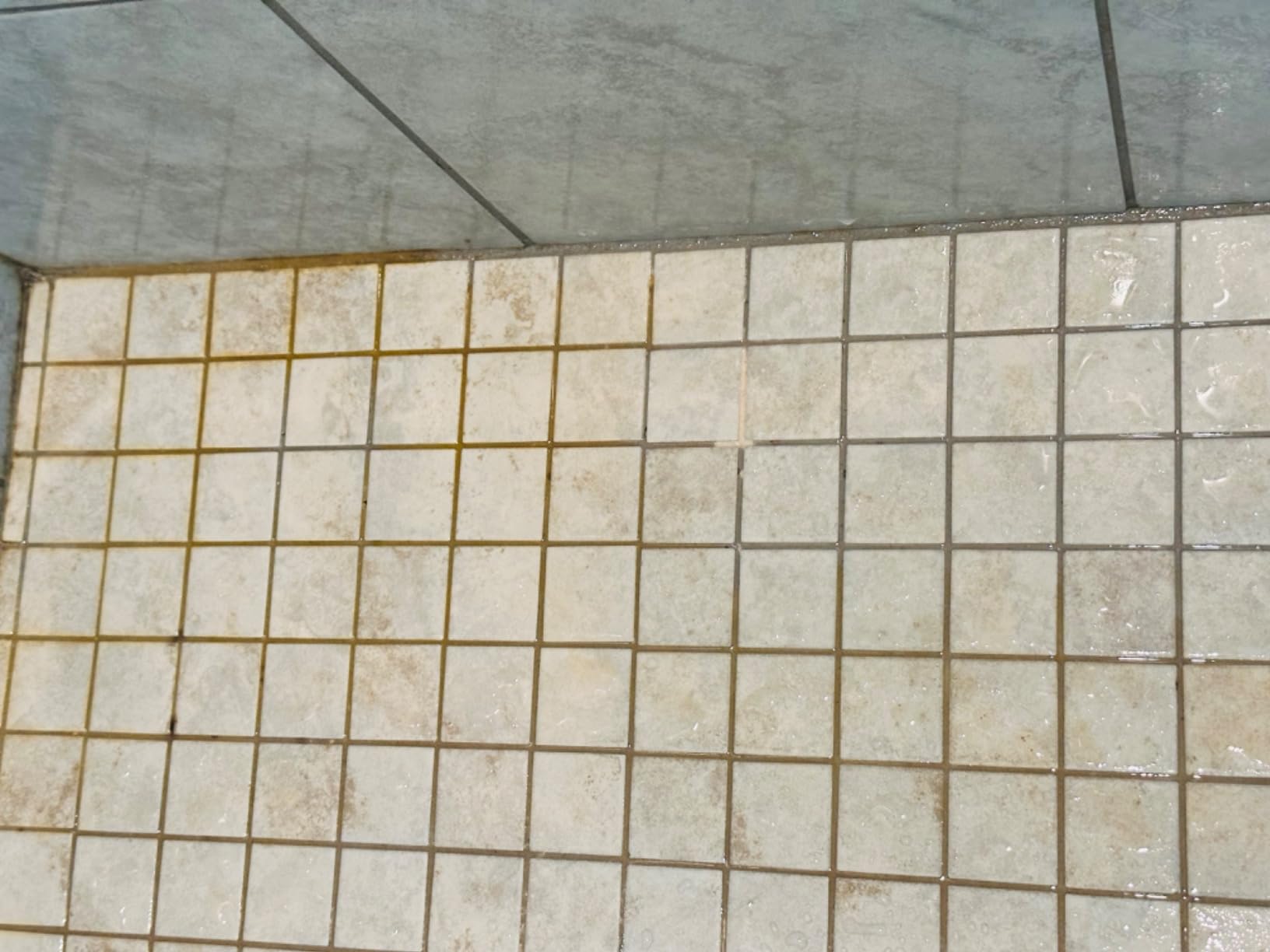 Karcher Steam Cleaner, Multi Purpose, Power Steamer, Chemical-Free, 40 Sec Heat-Up, for Grout, Tile, Hard Floors, Appliances & More - SC 3 Easy Fix customer photo 1