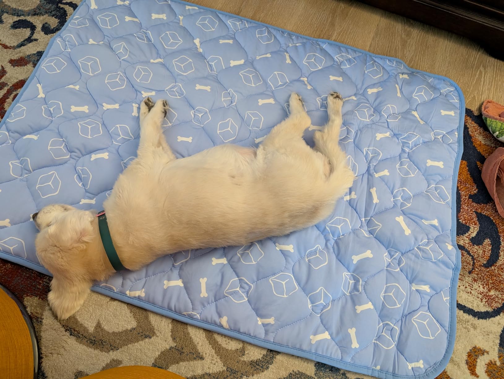 Rywell Dog Cooling Mat 2.0, Ocean Blue, 44