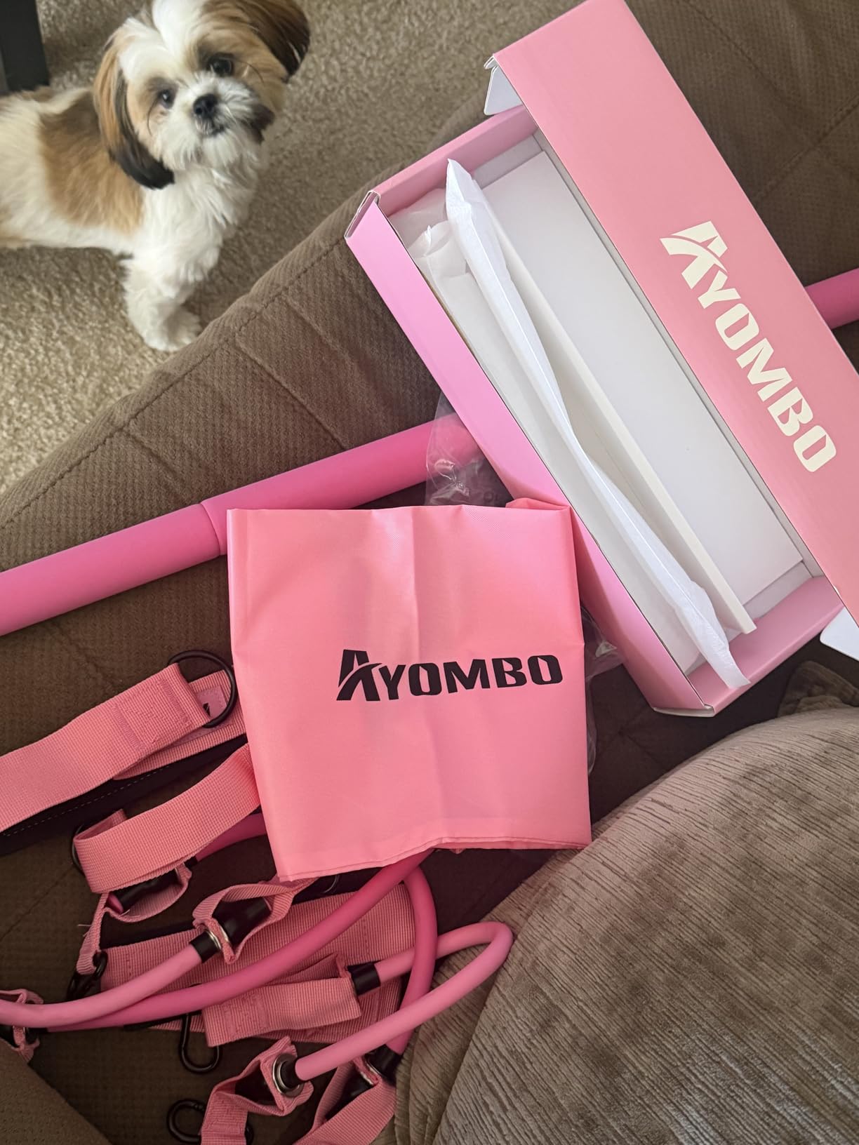 Ayombo Pilates Bar Kit with Resistance Bands, Workout Equipment for Legs, Hip, Waist, Arm customer photo 1