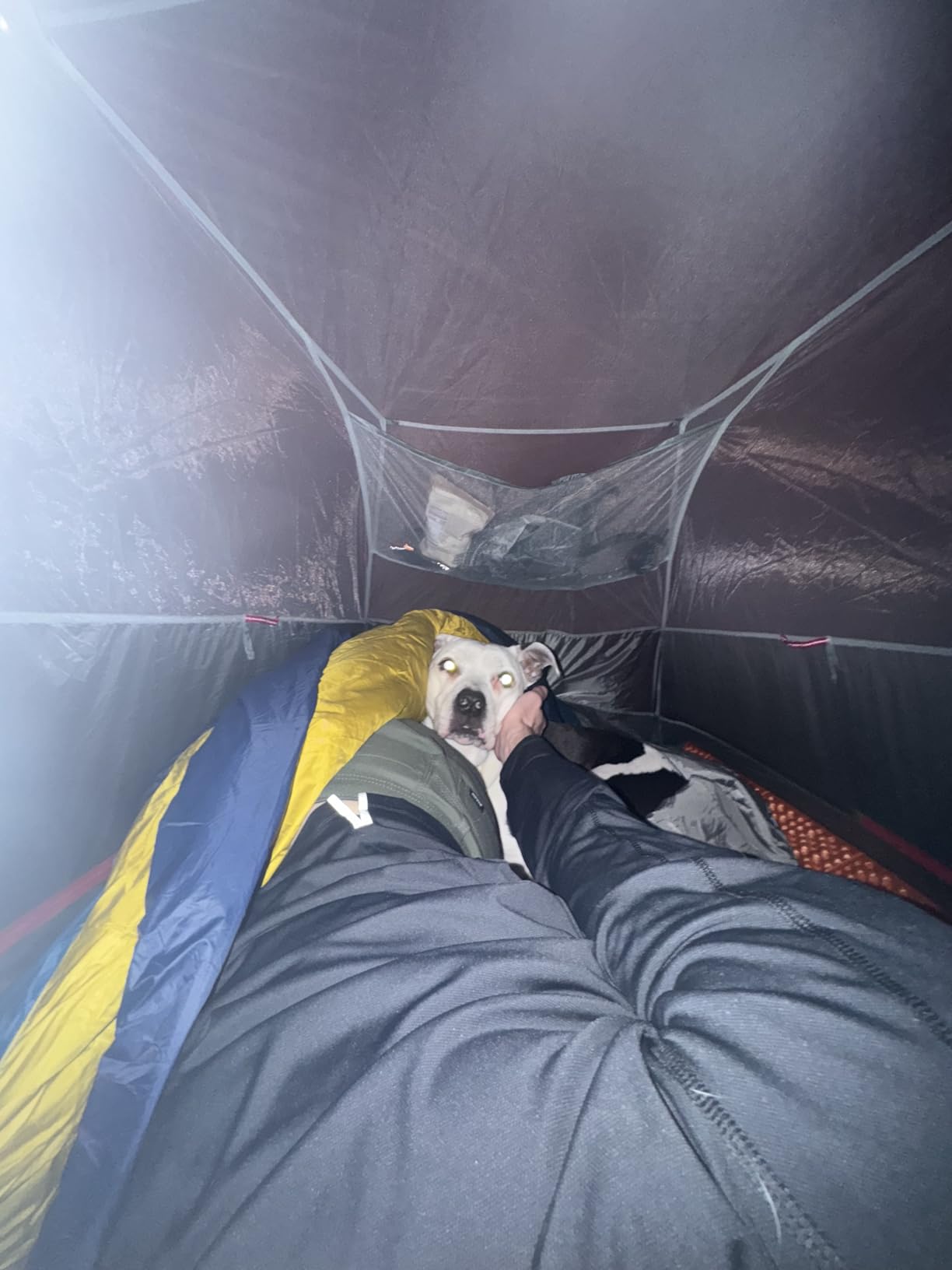 Kelty Cosmic 20 Down Mummy Sleeping Bag for Backpacking customer photo 2