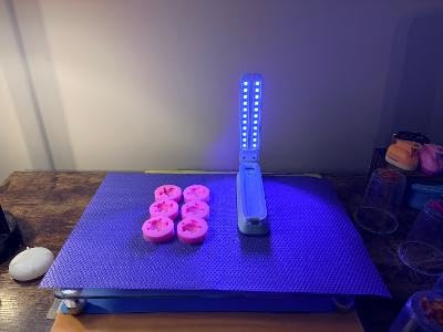 Resiners UV Light for Resin Curing, UV Resin Light, Wireless & Rechargeable UV Lamp, 3-in-1 Uses, Foldable Blacklight Ultraviolet LED, Craft Supplies Tools for Resin Molds, Jewelry Making, DIY Decor customer photo 1