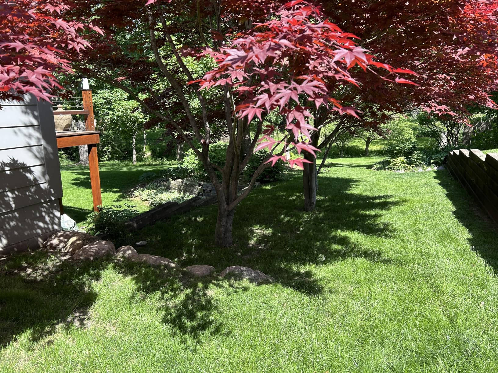EGO POWER+ Electric Lawn Mower, Cordless Push, Includes 56V 4.0Ah Battery and Charger - LM2112 customer photo 2