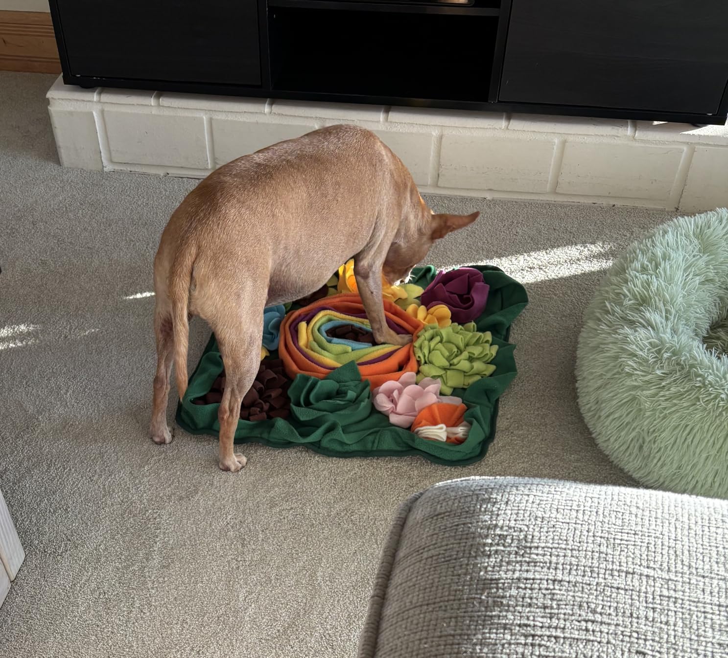 Snuffle Mat for Dogs -Interactive Dog Toys to Keep Them Busy | Puppy Puzzle Slow Feeder Treat| Dog Lick Mat Enhancement customer photo 1