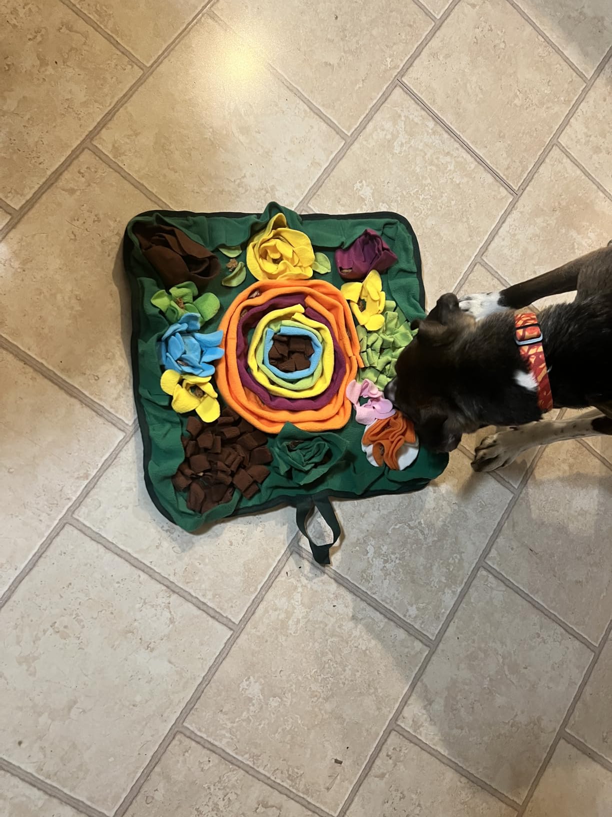 Snuffle Mat for Dogs -Interactive Dog Toys to Keep Them Busy | Puppy Puzzle Slow Feeder Treat| Dog Lick Mat Enhancement customer photo 2