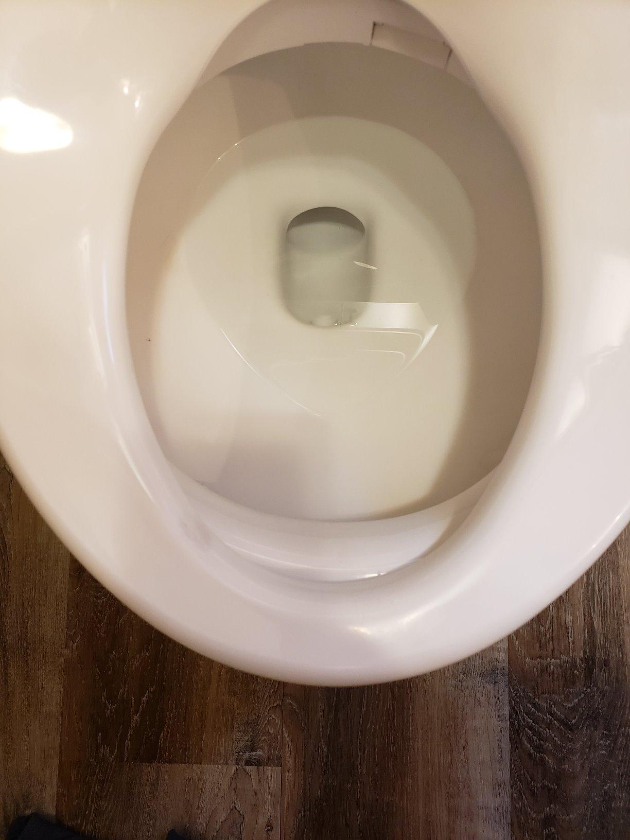 Brondell Thinline T44-EW Swash Electric Bidet Toilet Seat With Thin Profile, Heated, Remote Control, Oscillating Stainless Steel Nozzle, Warm Air Dryer, Night Light, Gentle Close Lid, Elongated customer photo 1