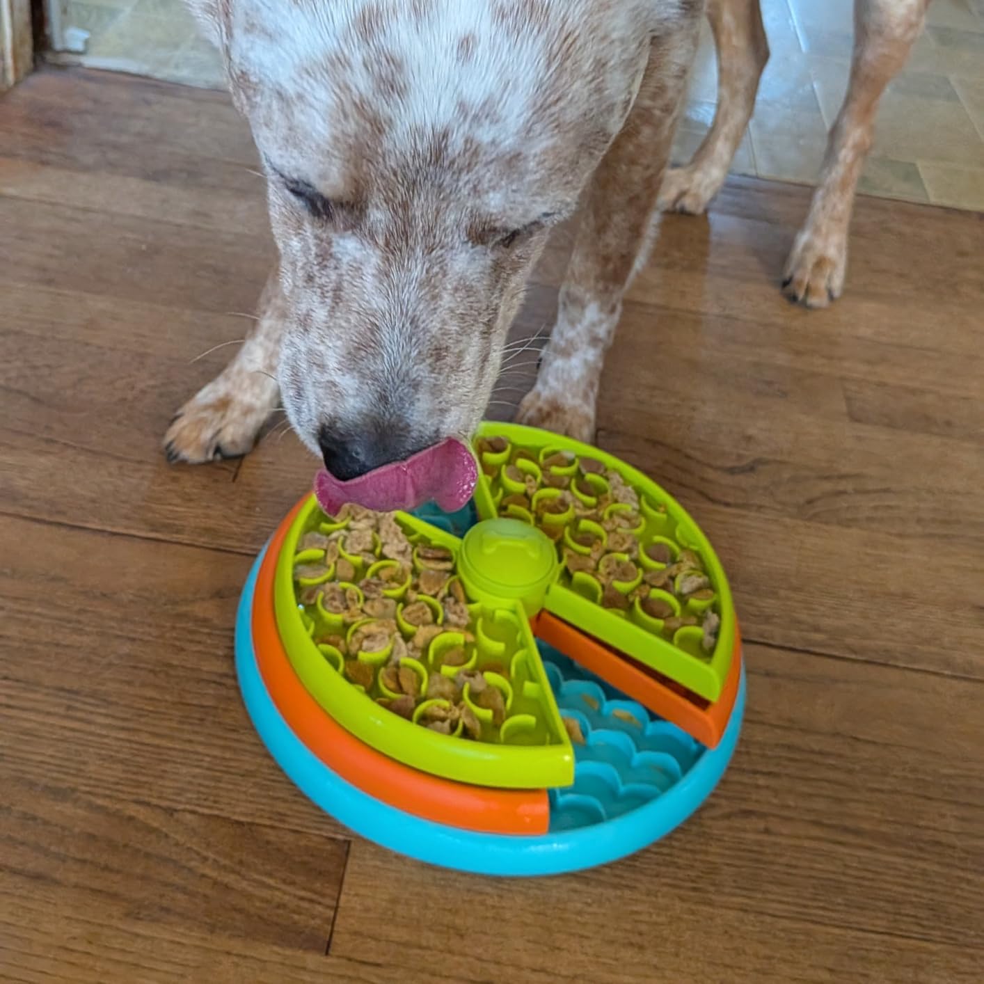 Slow Feeder Dog Bowl 3 Levels, Reduces Boredom and Anxiety, Non-Slip Interactive Puzzle Feeder, Suitable for Small/Medium/Larger Dogs customer photo 2