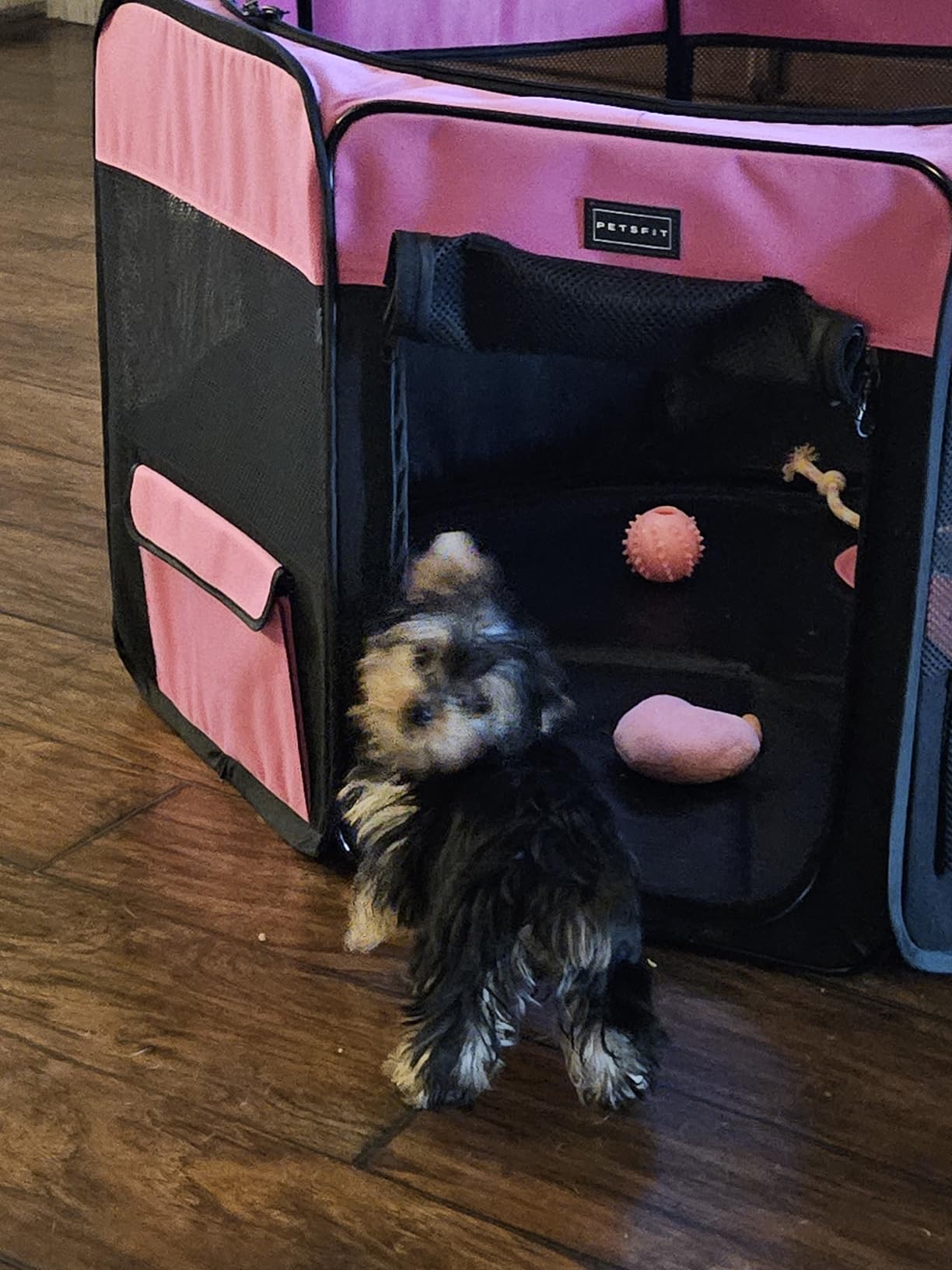 PETSFIT Portable Dog Playpen, 36