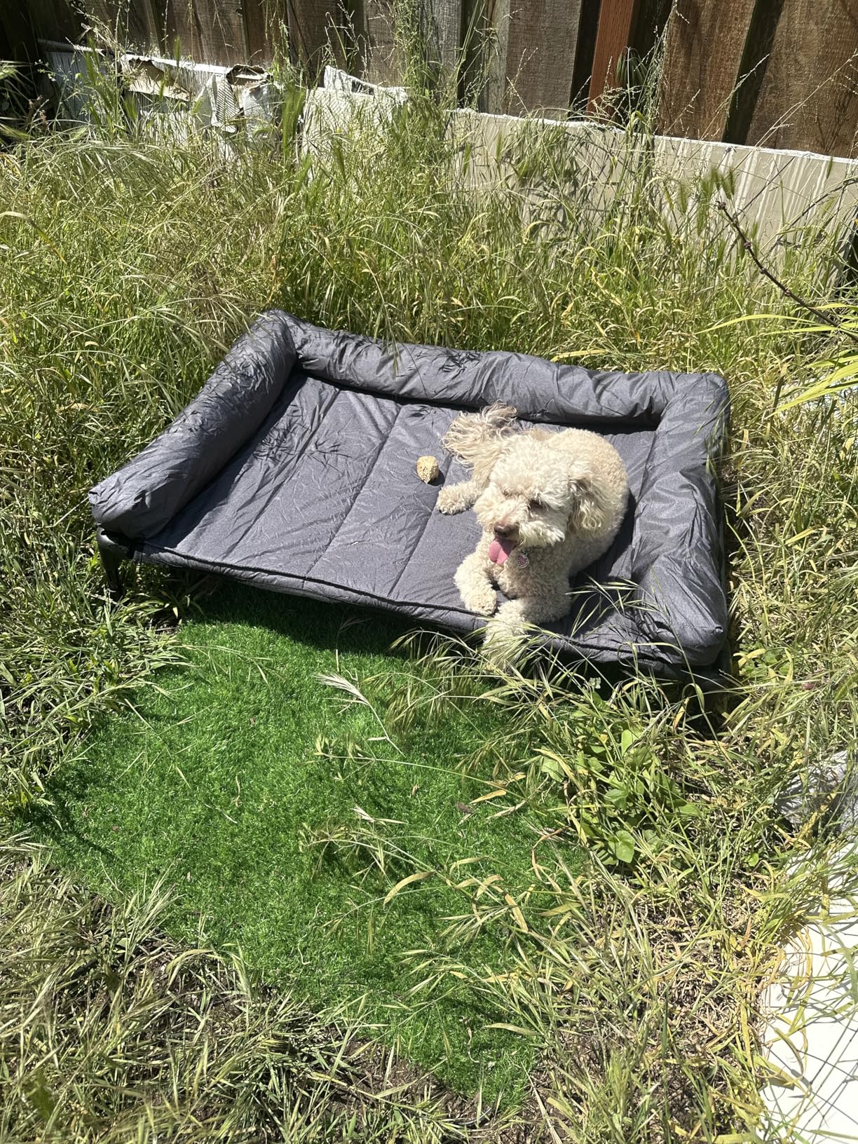 Veehoo Cooling Elevated Dog Bed Add Removable Waterproof Bolster Cushion Mat, Raised Pet Cot with Breathable Teslin Mesh, No-Slip Feet, Dog Couch Bed for Indoor Outdoor, 42x30inches, Black, CWC2331B customer photo 1