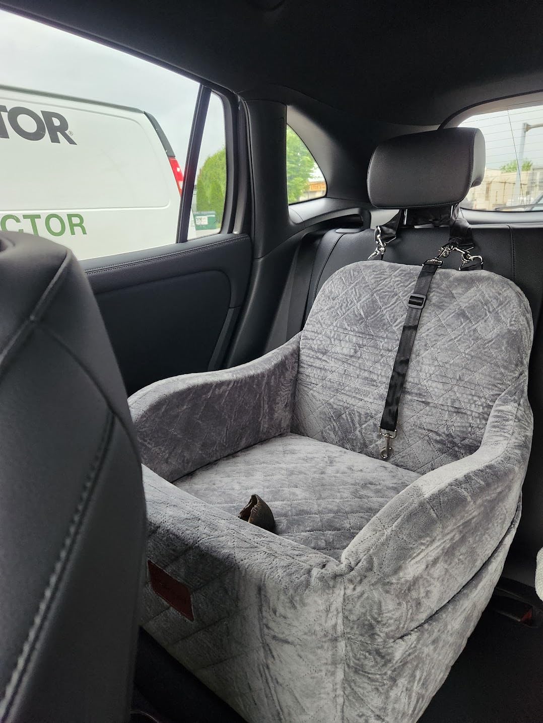 Lealchum Dog Booster Car Seat for Small/Medium Dogs, Ultra Soft Fabric Filling Memory Foam, Fully Detachable and Washable, Anti-Slip Base, 3 Straps Easy to Install (Coffee, Medium) customer photo 1
