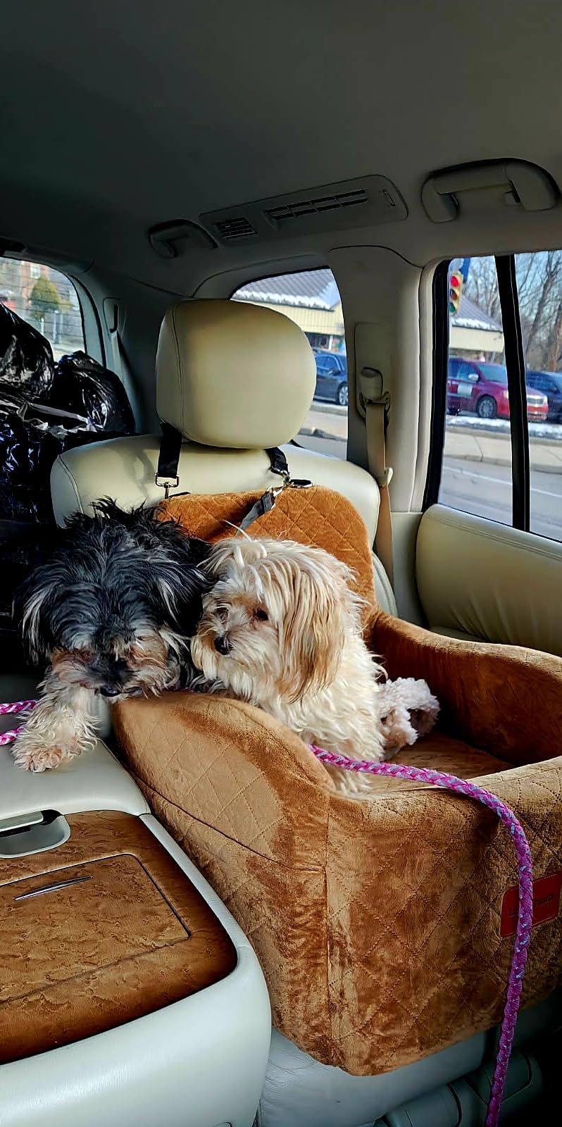 Lealchum Dog Booster Car Seat for Small/Medium Dogs, Ultra Soft Fabric Filling Memory Foam, Fully Detachable and Washable, Anti-Slip Base, 3 Straps Easy to Install (Coffee, Medium) customer photo 2