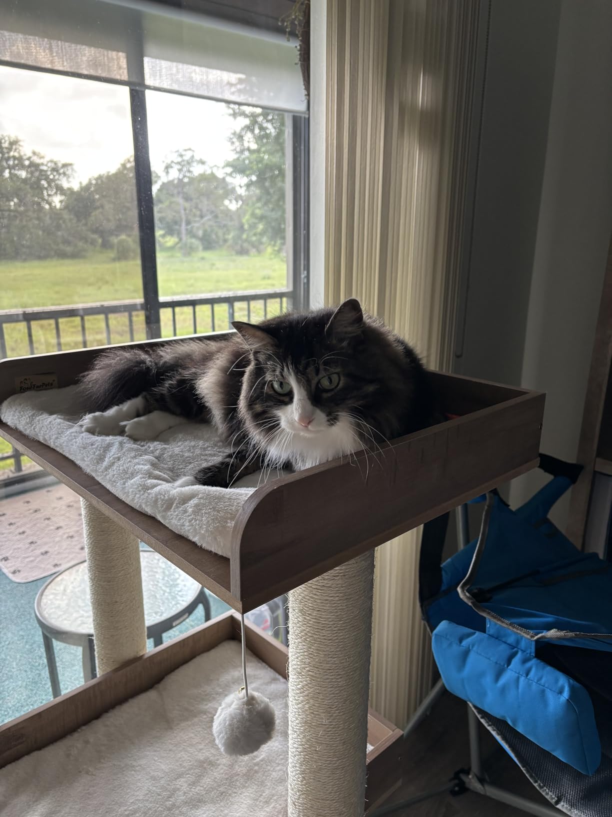 FourFurPets 43.7