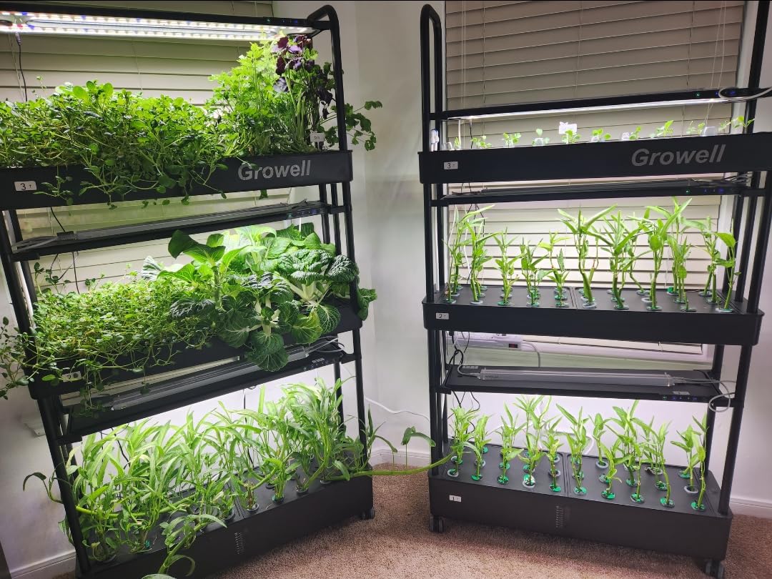 Growell 90-Pod Hydroponics Growing System, Large Vertical Hydroponic Garden with Smart Full-Spectrum Grow Lights, Auto Circulating Water, Mobile Indoor Gardening System for Herbs, Vegetables & Fruits customer photo 1