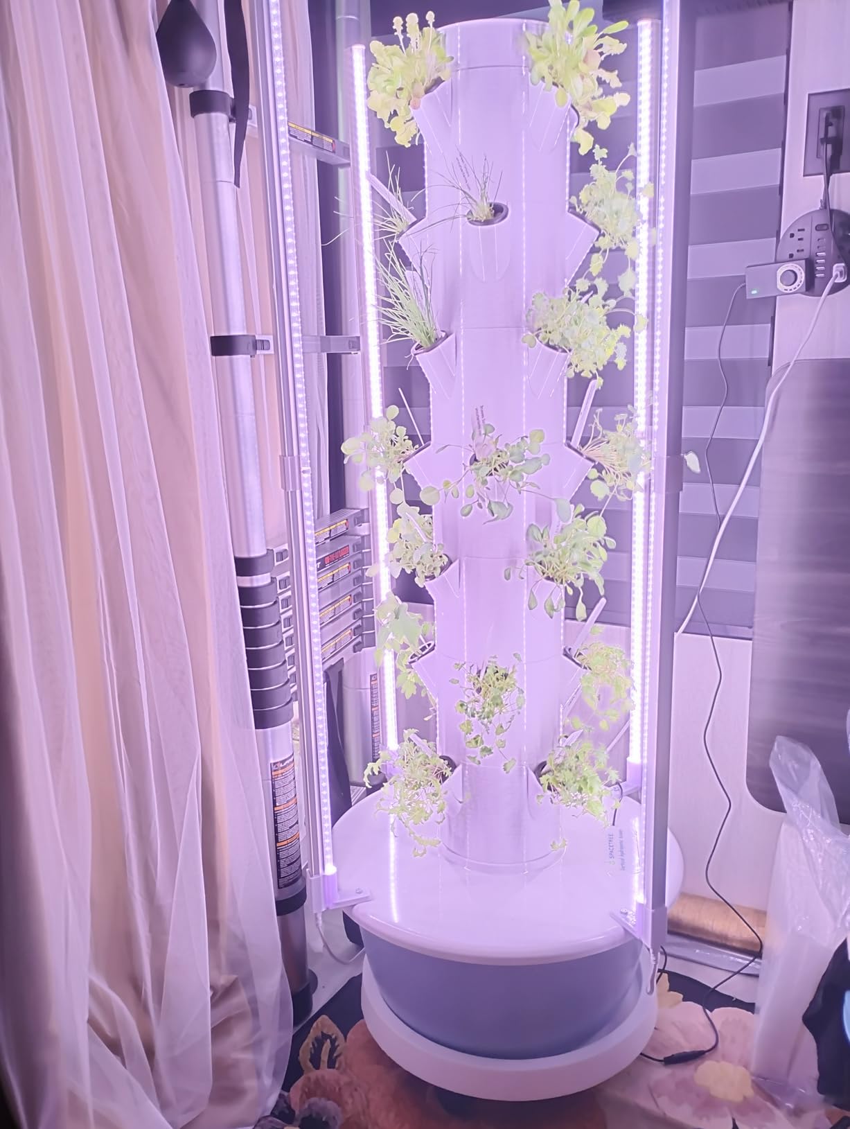 BAOSHISHAN Hydroponics Growing Tower, 7-Layer 28pod Hydroponic Tower with Foldable LED Light, Space-Saving Indoor Vertical Hydroponics Growing System for Vegetable Herb Fruit customer photo 1