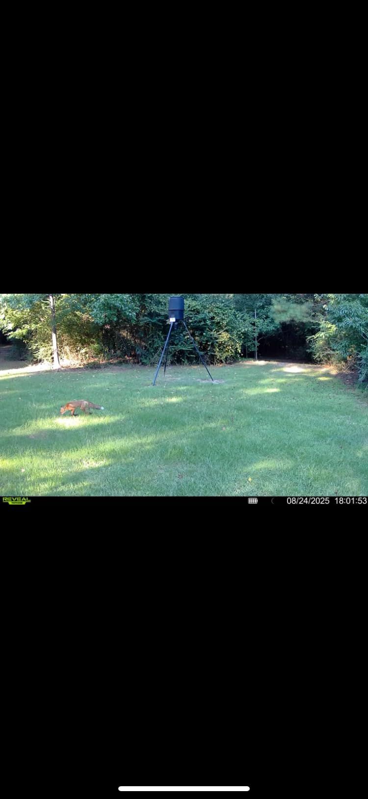 TACTACAM Reveal X Gen 3.0 Cellular Trail Camera: Auto Connect 4G LTE, 4K Photo, 1080p Video, Low-Glow IR Flash, No SD Card Needed, Long Battery Life customer photo 1