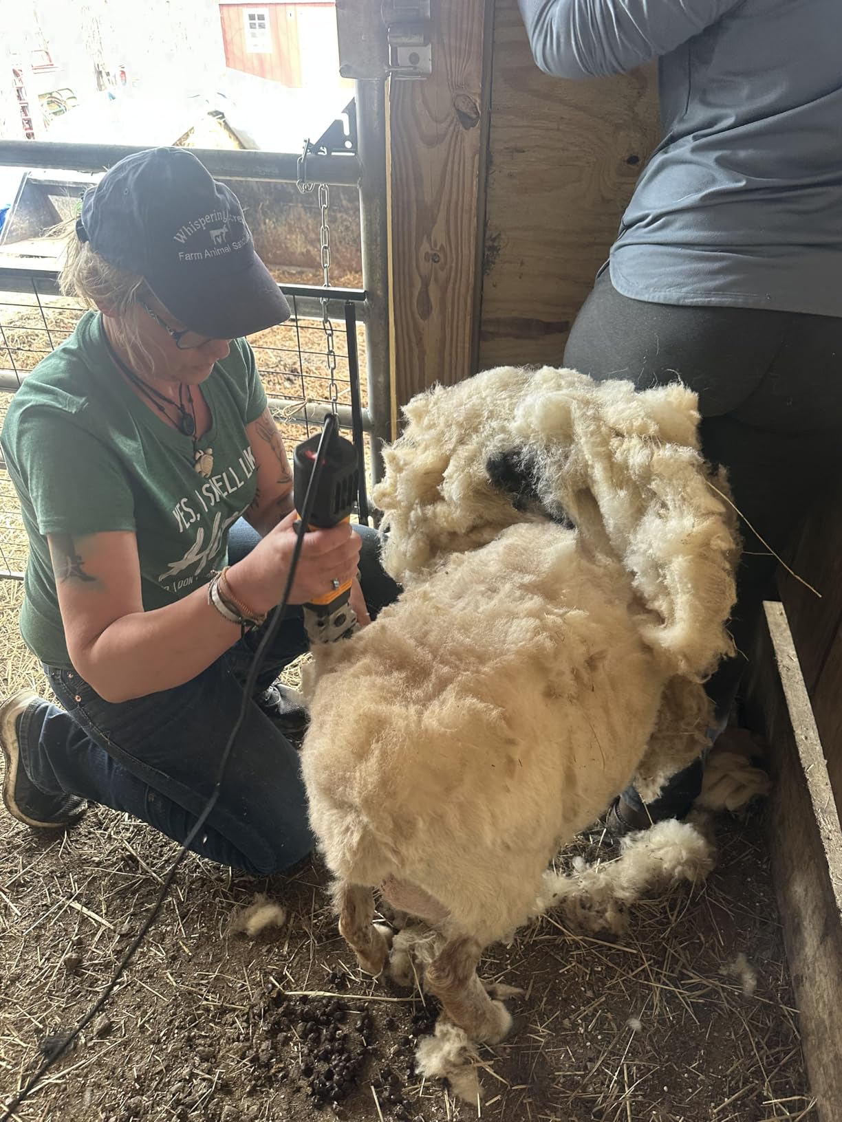 PAT JUUMG 1000W Sheep Shears Electric Farm Livestock Haircut with Blades Professional Animal Clippers 6 Speed Heavy Duty Electric for Thick Horses Sheep Alpacas Goats customer photo 1