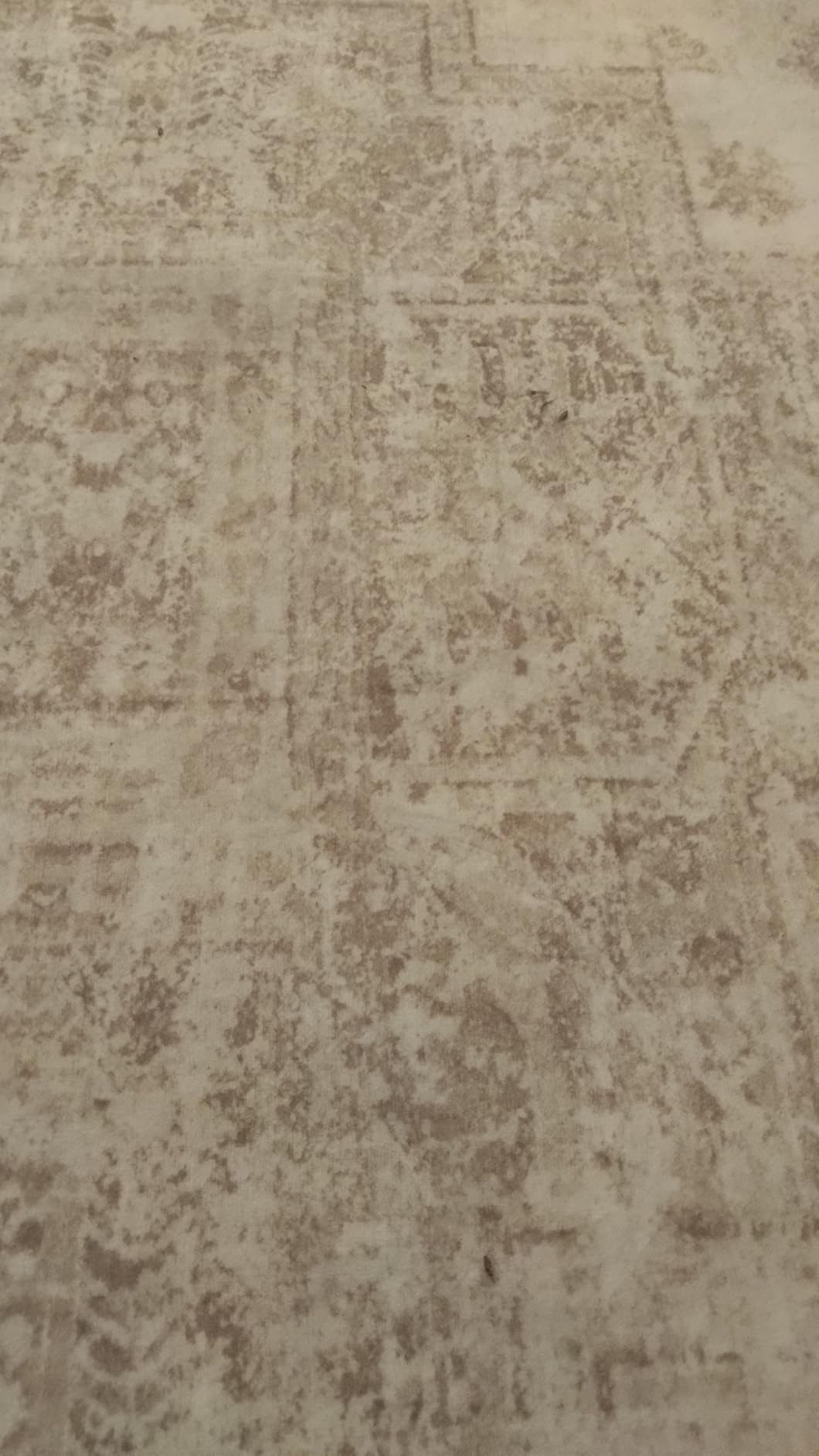 XLUEZ Area Rug 9x12 Living Room Rug, Machine Washable Vintage Distressed Medallion Rug Non-Slip Soft Low Pile Large Indoor Rugs for Bedroom Kitchen Dining Room Office(Beige,9'x12') customer photo 1