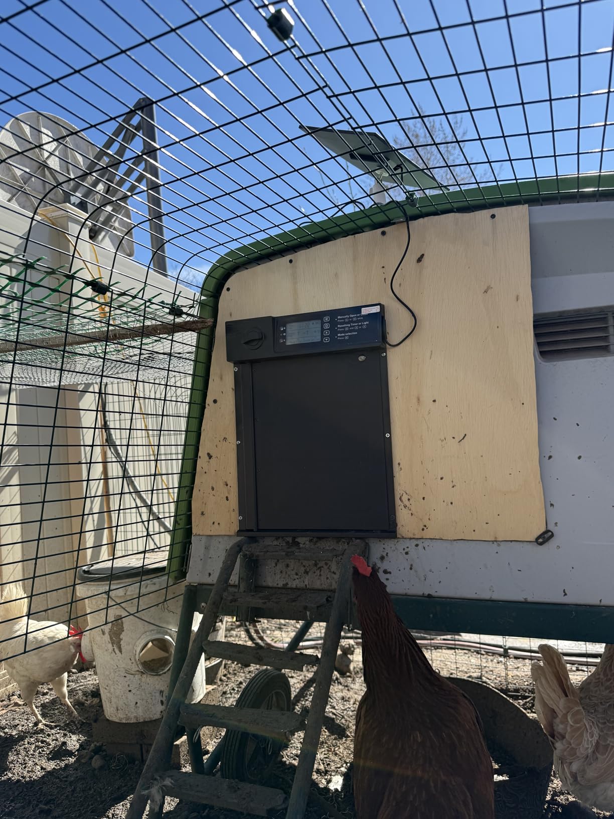 Automatic Chicken Coop Door, Large Size Solar Powered Coop Door with Opening in Emergency, Anti-Pinch, Timer & Light Sensor, Aluminum Waterproof Auto Chicken Door, with 7W Solar Panel customer photo 1