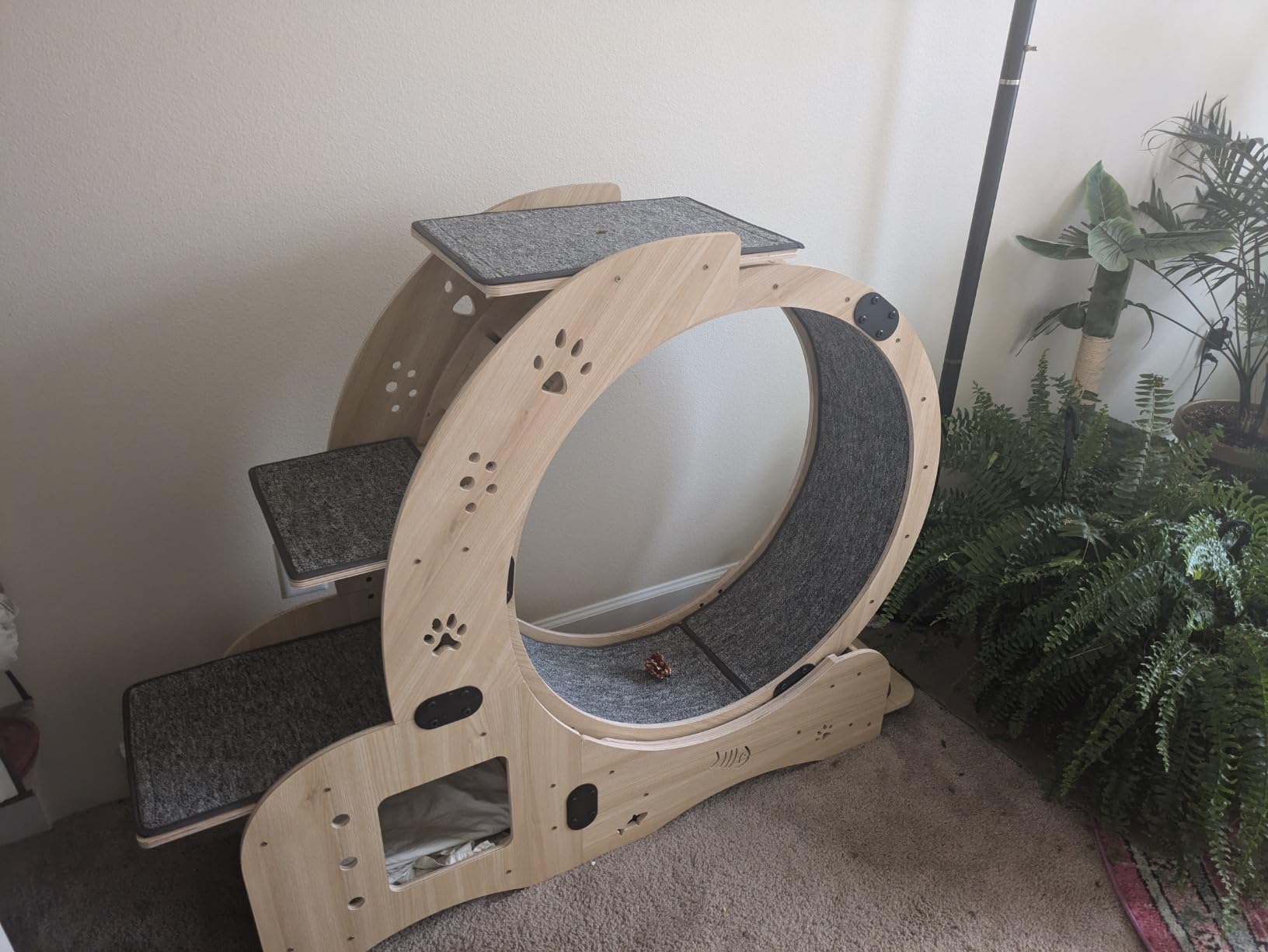 Cat Wheel 7-in-1 Upgraded Exercise Treadmill for Indoor Cats, Cat Treadmill with Silent Running Wheel, Cat Tunnel, Cat Wheels for Indoor Cats, Perfect Cat Jym & Toy for Endless Fun & Fitness customer photo 1