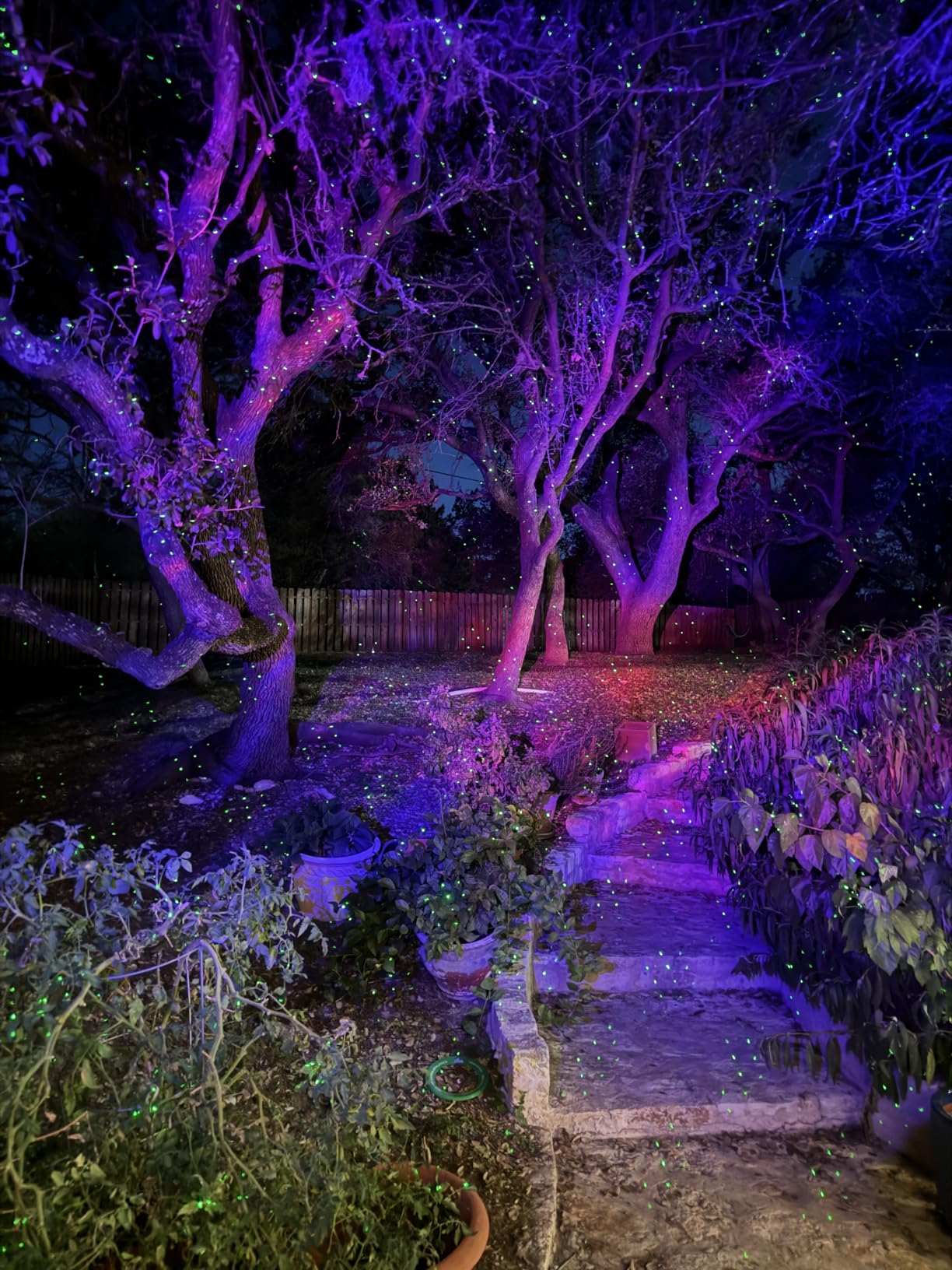 Outdoor Aurora Laser Light Projector - Firefly Starry Sky Landscape Spotlight with 60FT Waterproof Cord & Extra-Tall Stake, RF Remote, IP65 Yard Garden Patio Holiday Decor customer photo 2
