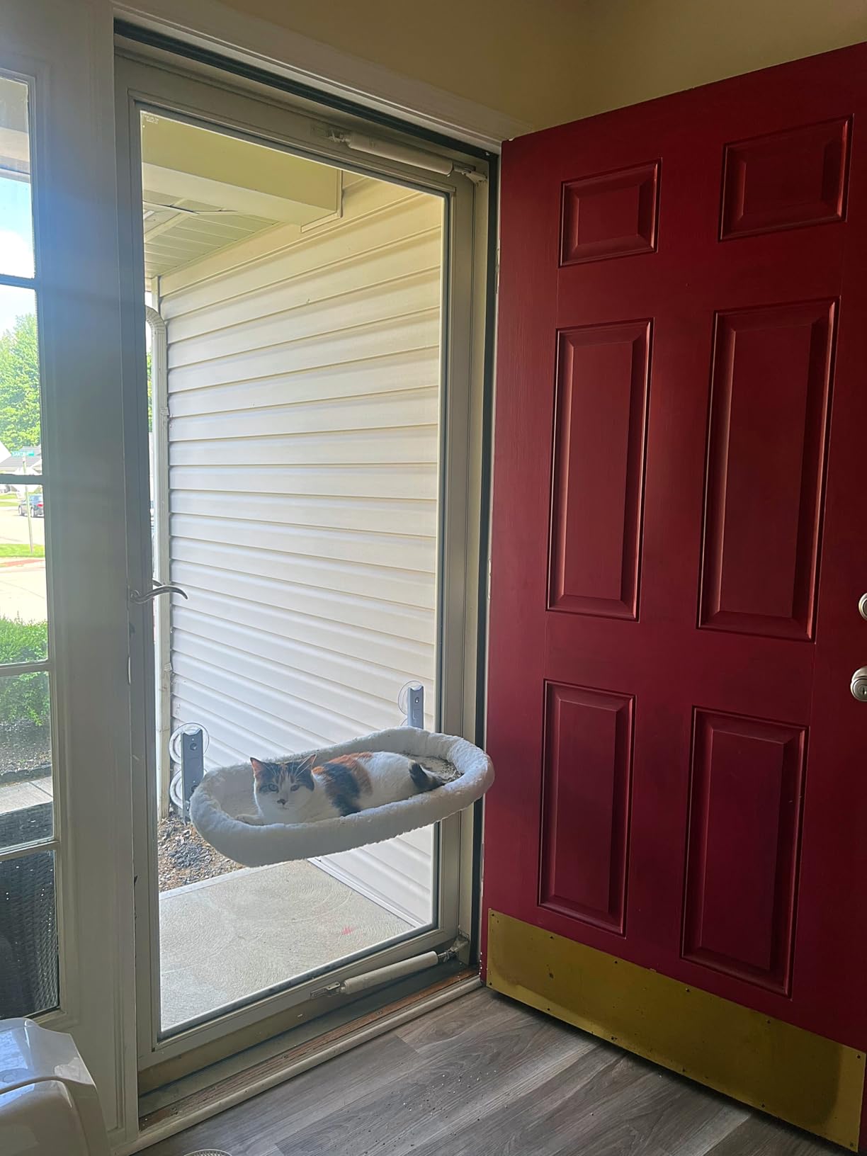 Cat Window Perch, Cordless Cat Hammock, Foldable Cats Window Bed for Large Cats with 4 Strong Suction Cups, Solid Metal Frame and Removable Cushion Bed Cover customer photo 1