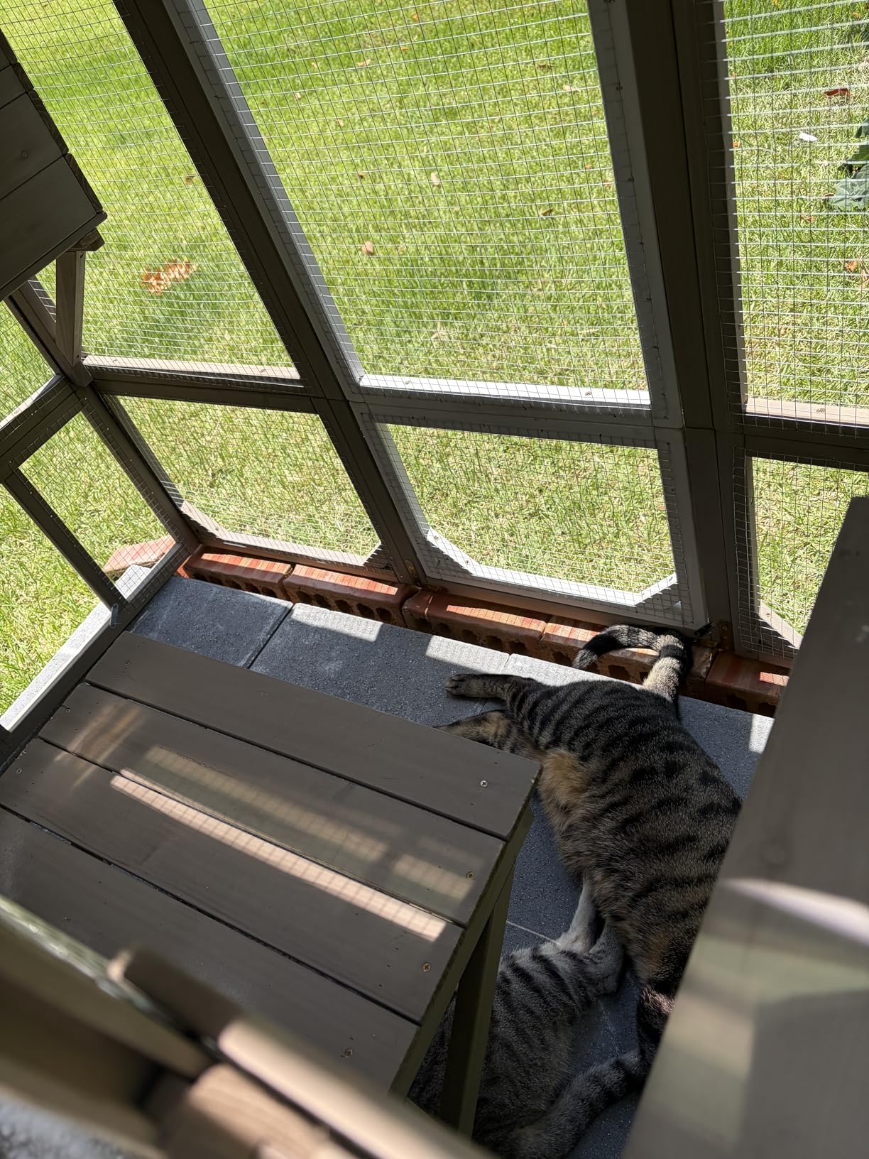 Ketive Catio Outdoor Cat Enclosure Large Window Cat House Walk in Kitty Cage with Multi-Level Platforms, Waterproof Roof for Multiple Cats (59